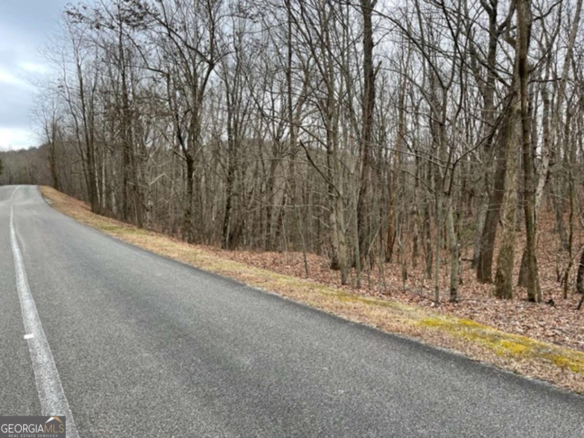 184 Street Andrews Way Ellijay GA 30536