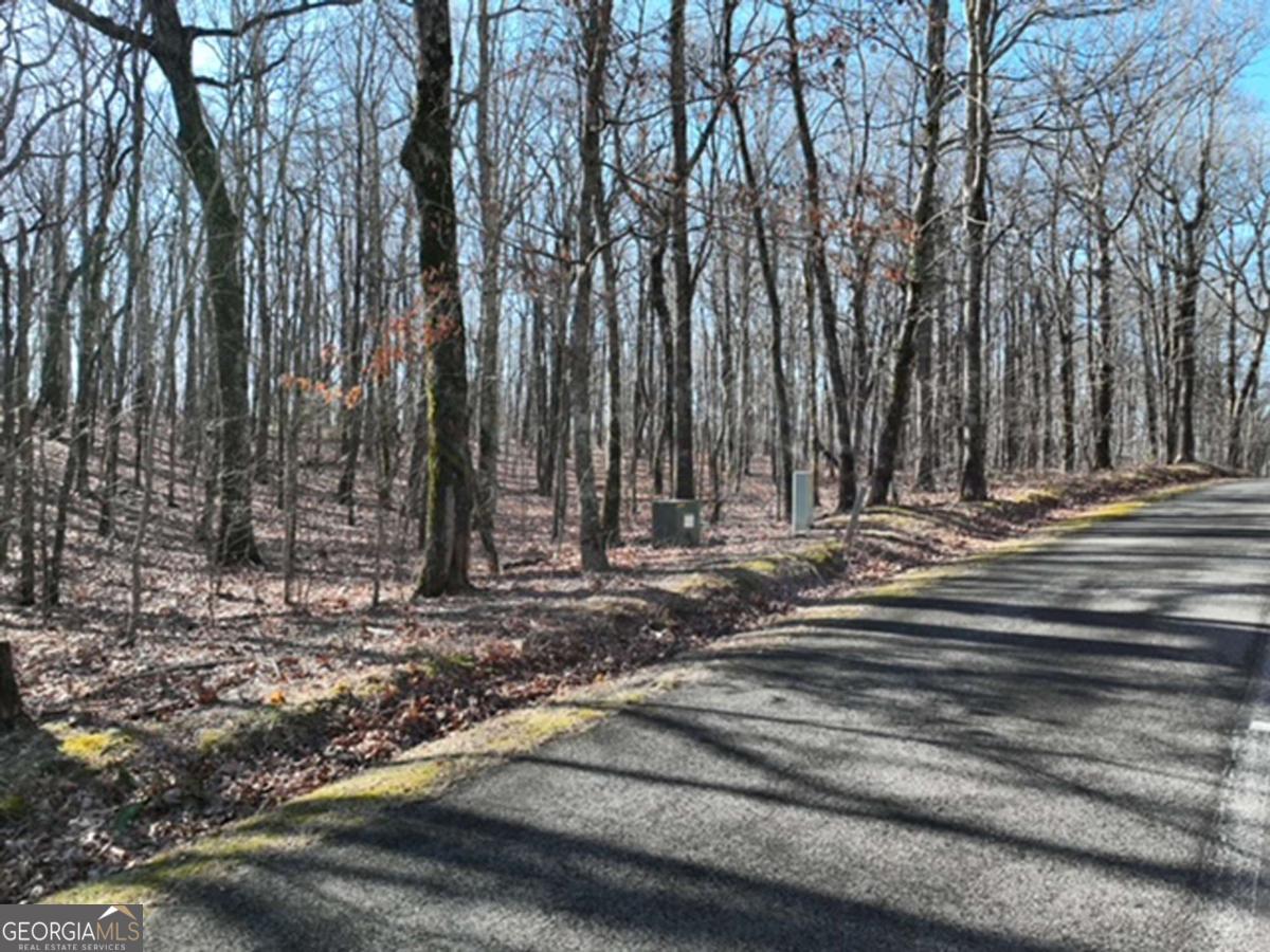 184 Street Andrews Way Ellijay GA 30536
