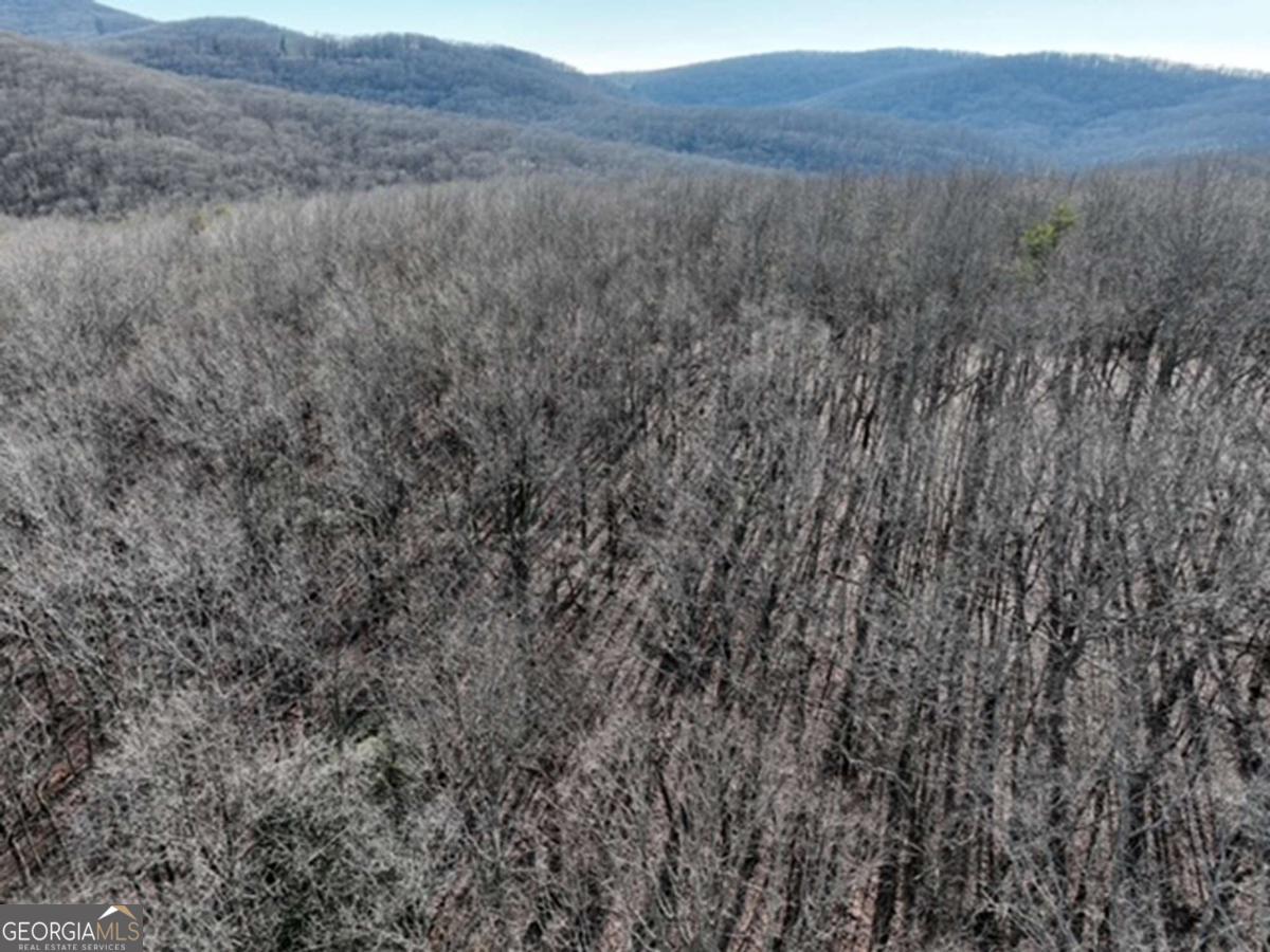 184 Street Andrews Way Ellijay GA 30536