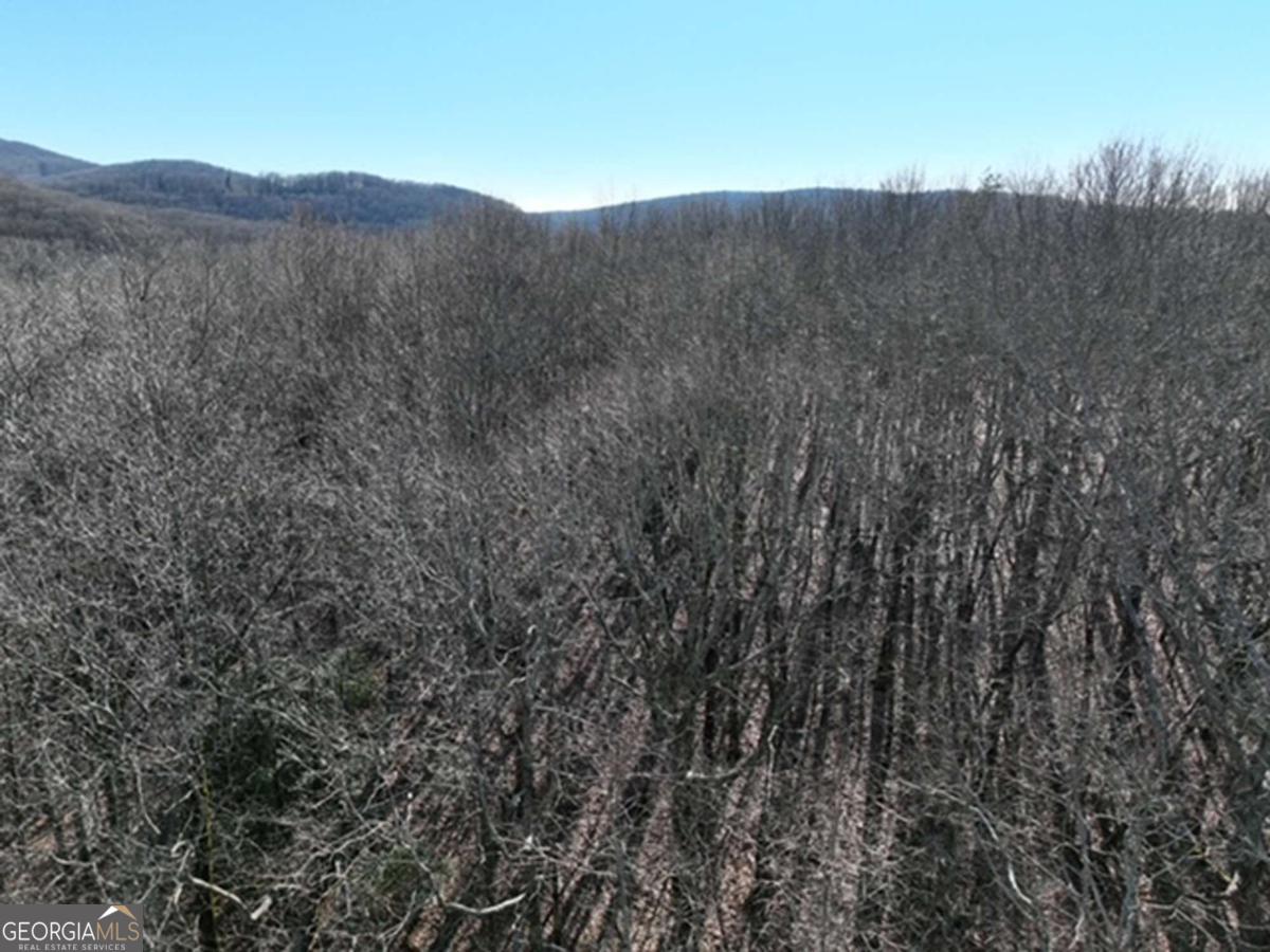 184 Street Andrews Way Ellijay GA 30536