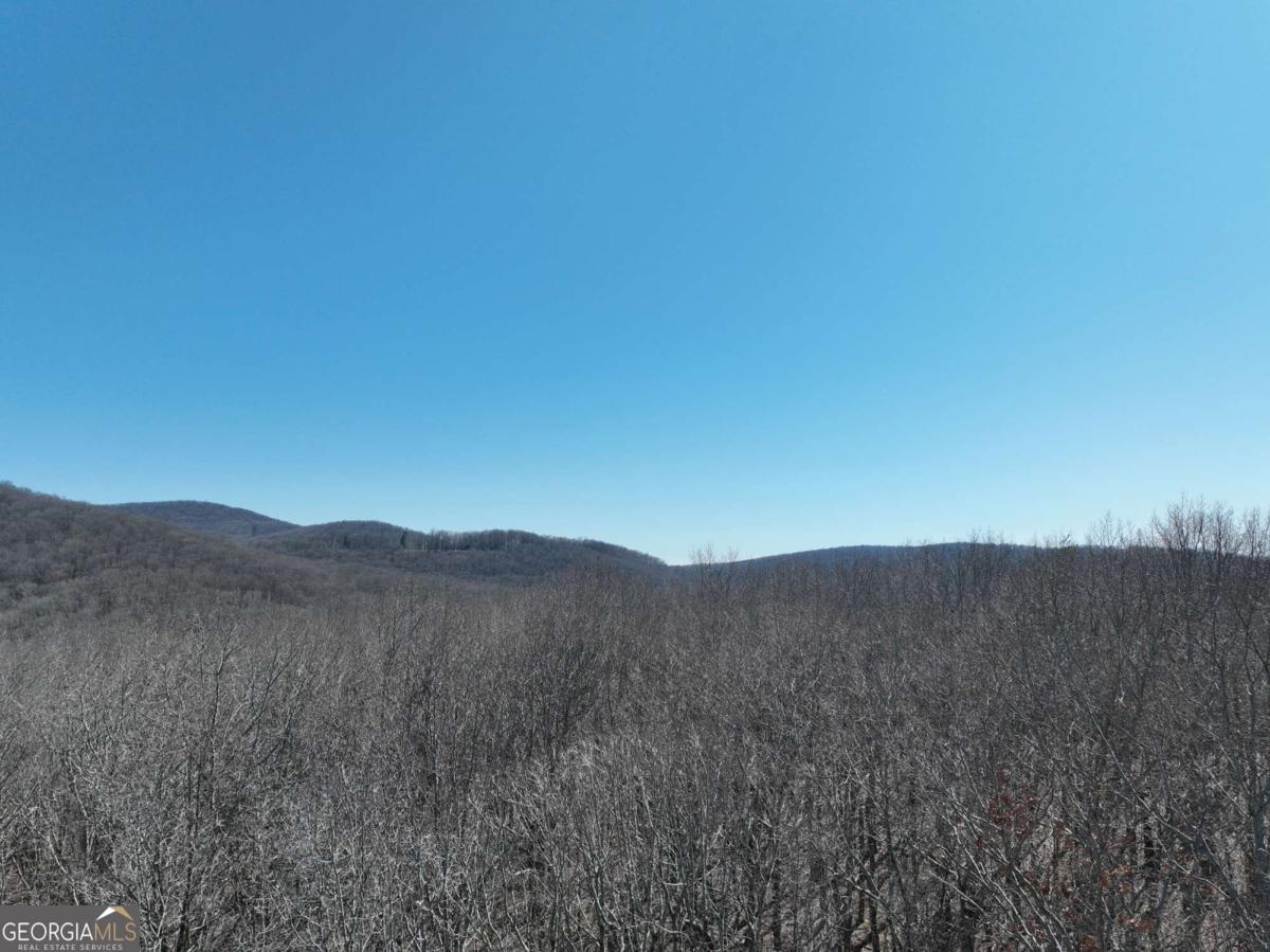 184 Street Andrews Way Ellijay GA 30536