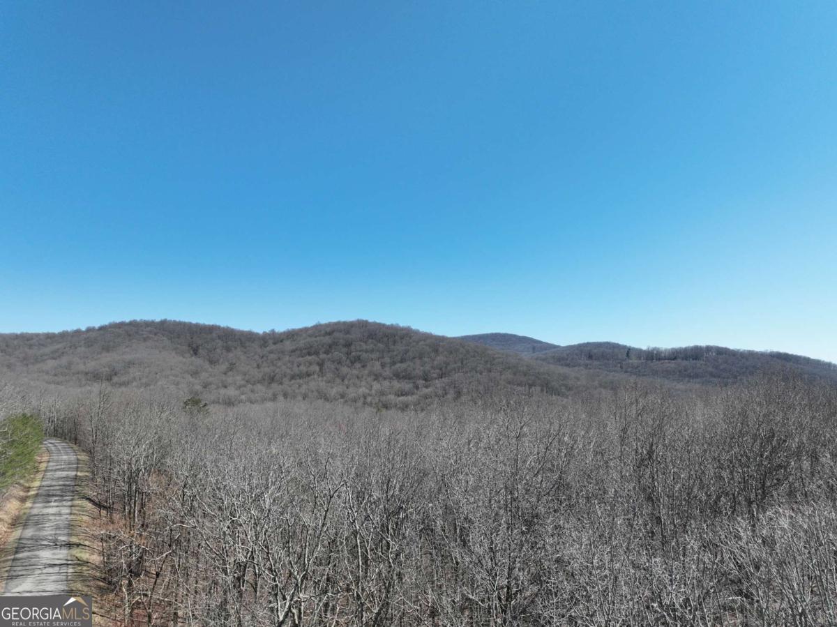 184 Street Andrews Way Ellijay GA 30536