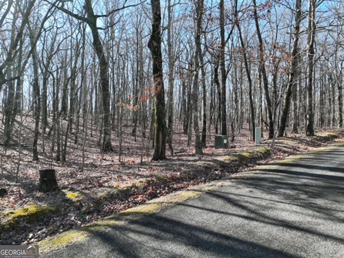 184 Street Andrews Way Ellijay GA 30536