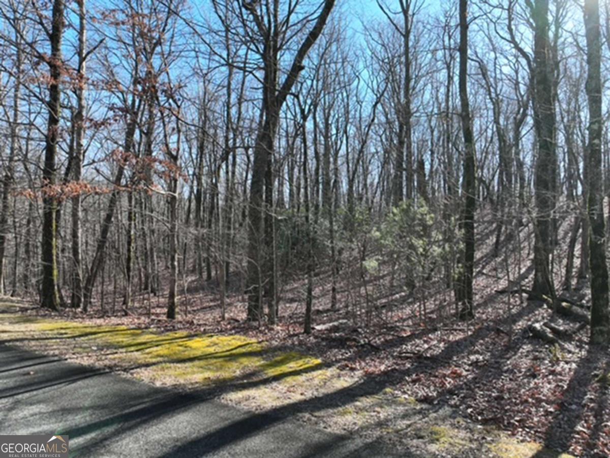 184 Street Andrews Way Ellijay GA 30536