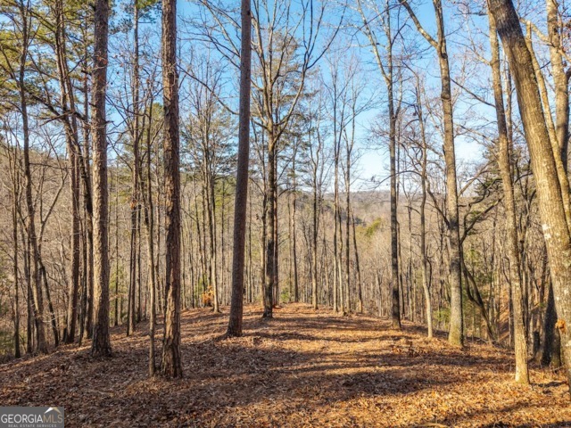 1665 Hunter Drive Talking Rock GA 30175