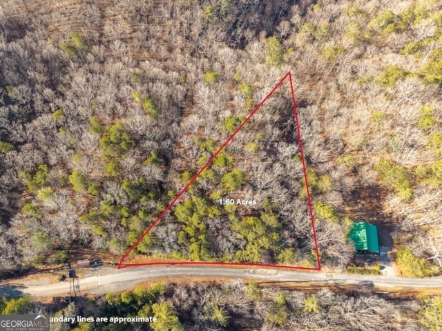 1665 Hunter Drive Talking Rock GA 30175