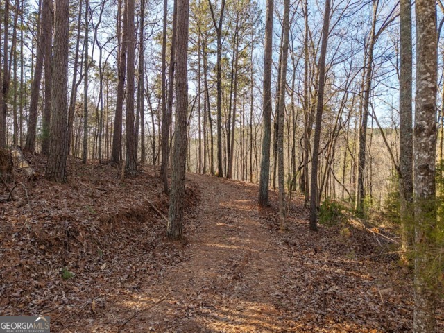 1665 Hunter Drive Talking Rock GA 30175