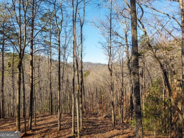 1665 Hunter Drive Talking Rock GA 30175