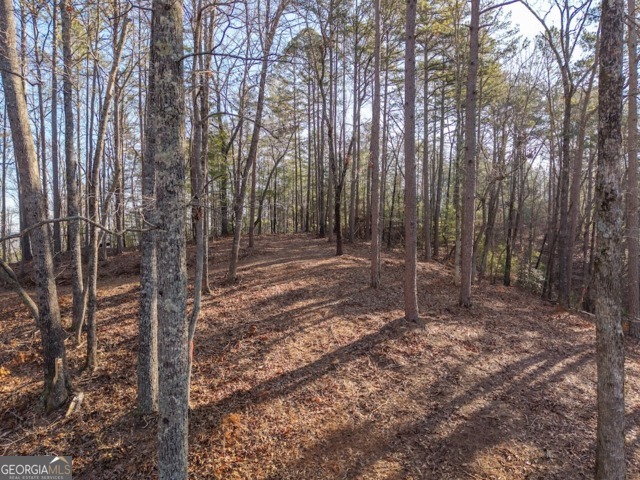 1665 Hunter Drive Talking Rock GA 30175