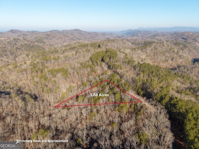 1665 Hunter Drive Talking Rock GA 30175