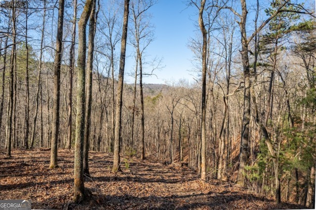 1665 Hunter Drive Talking Rock GA 30175