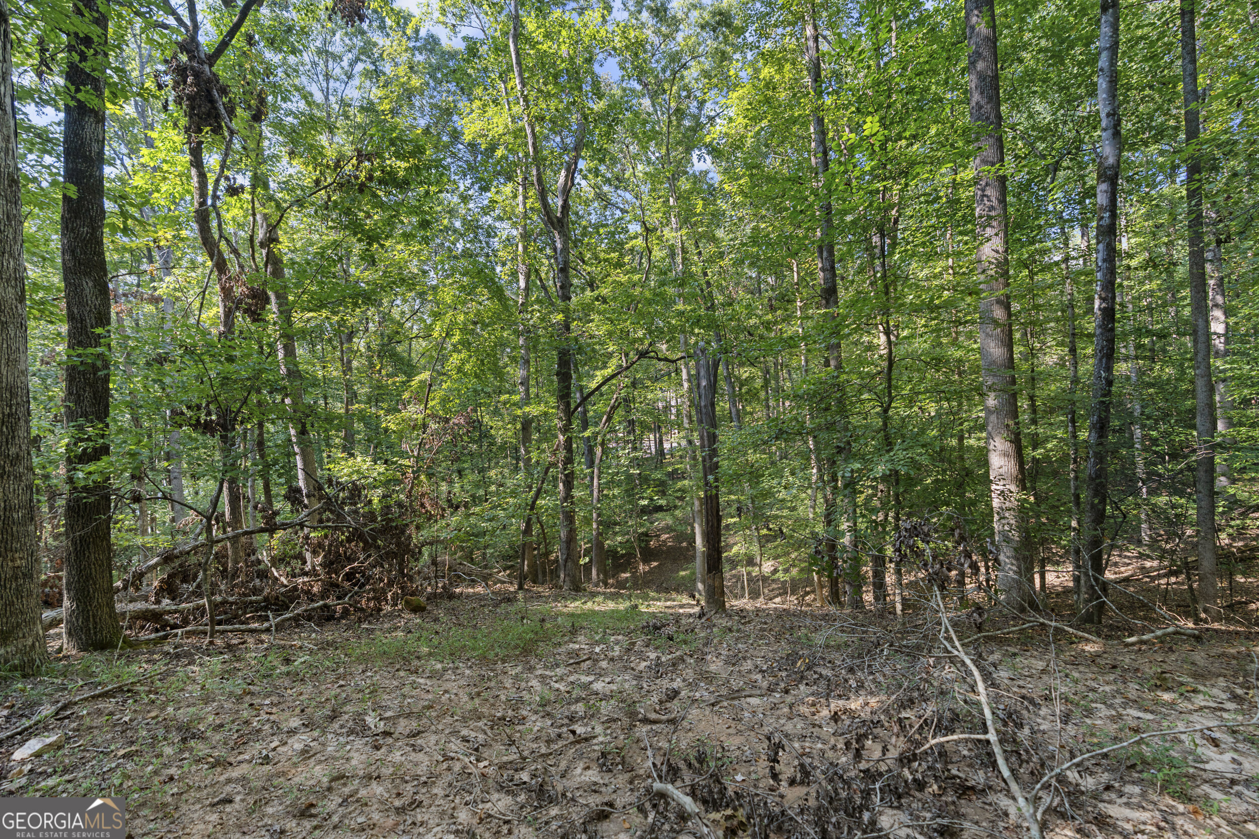 6314 Point Twenty Two Gainesville GA 30506