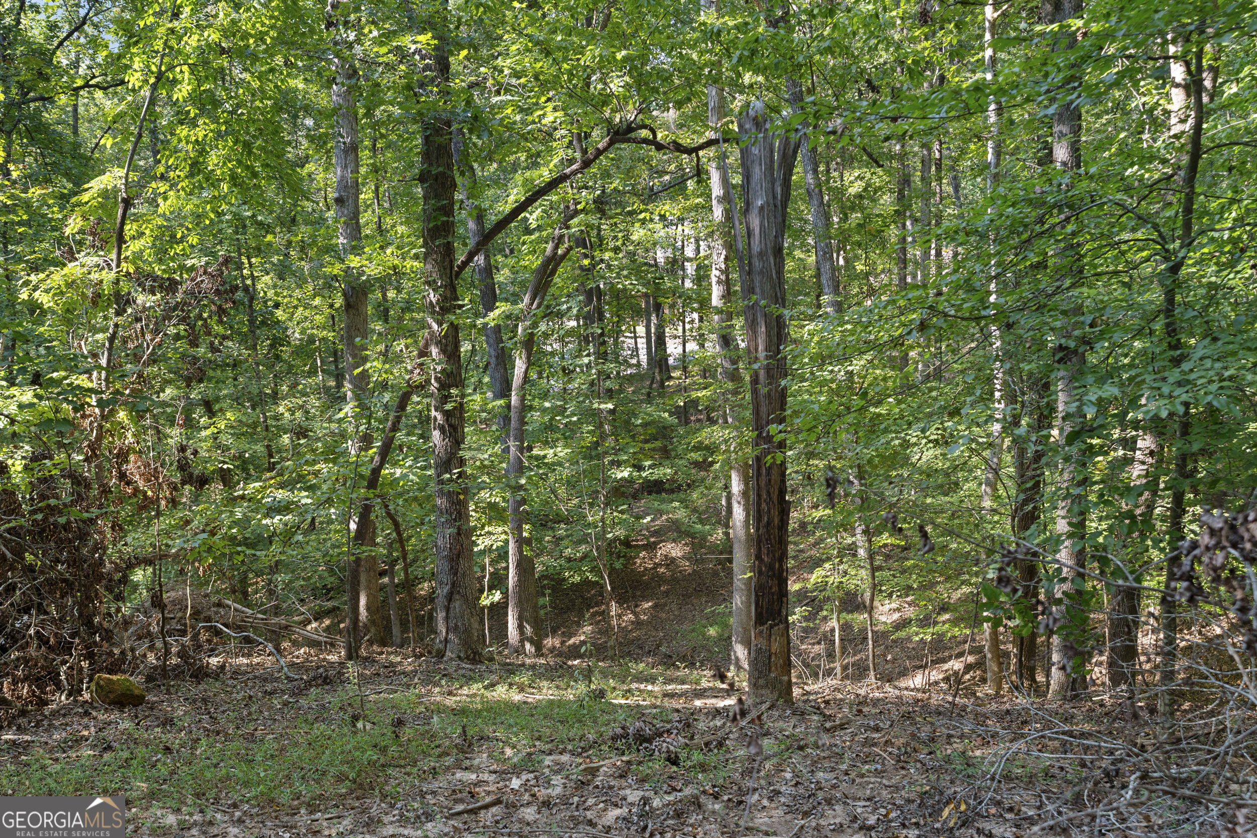 6314 Point Twenty Two Gainesville GA 30506
