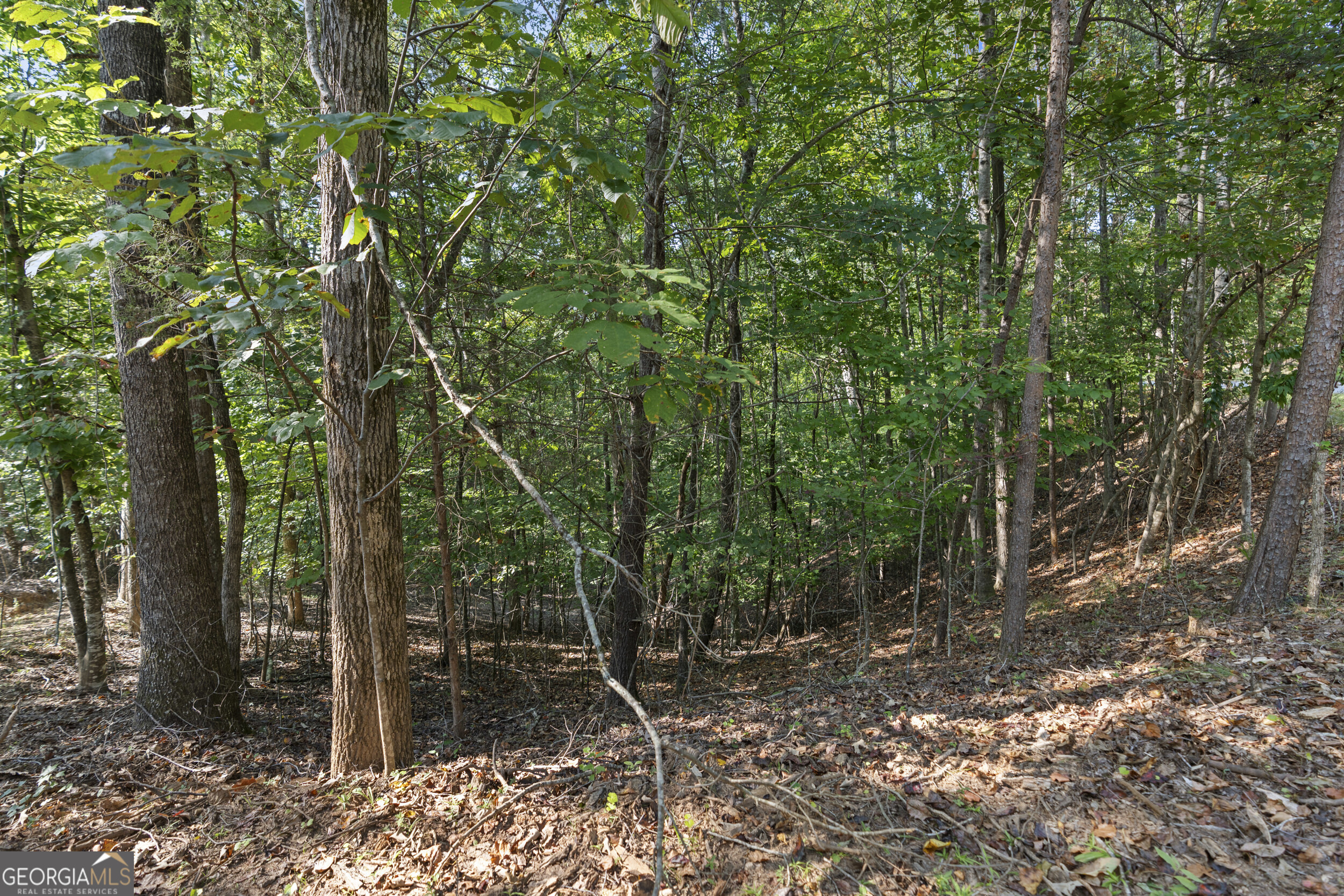 6314 Point Twenty Two Gainesville GA 30506