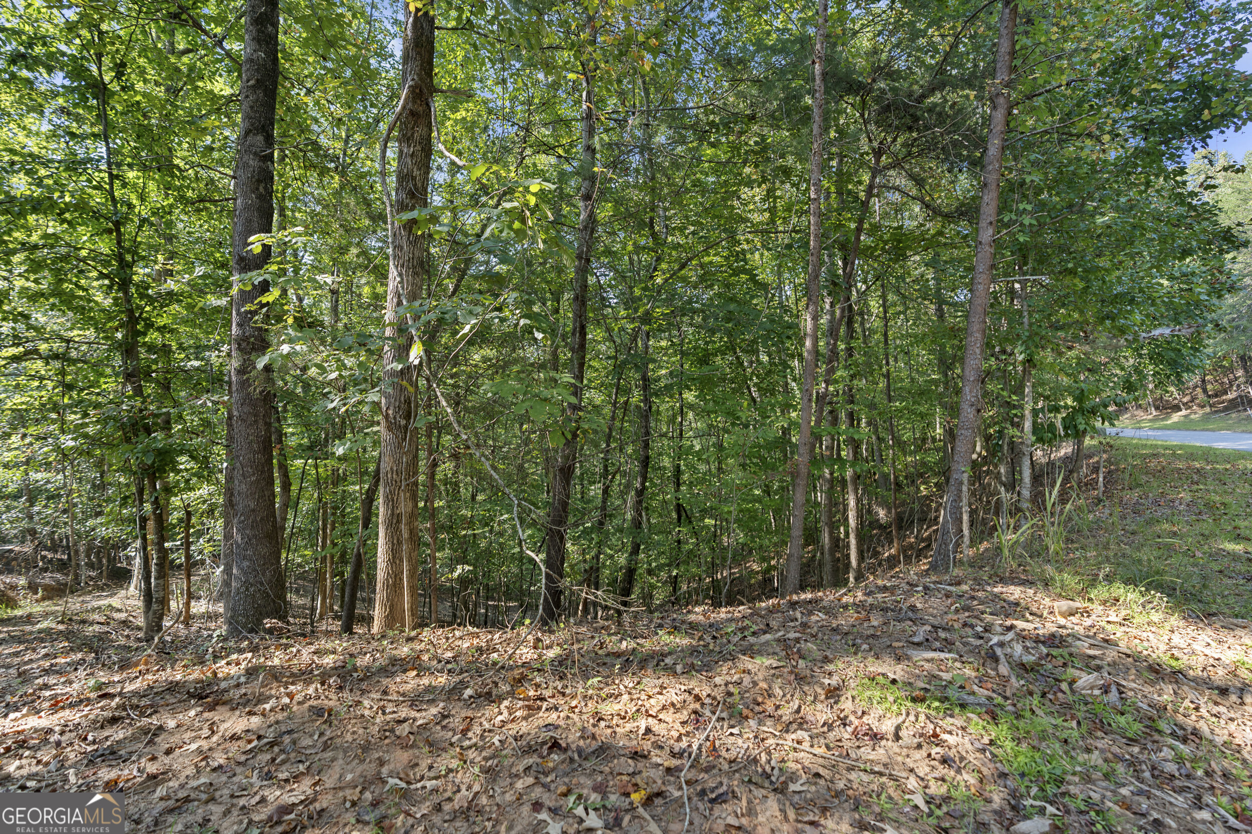 6314 Point Twenty Two Gainesville GA 30506