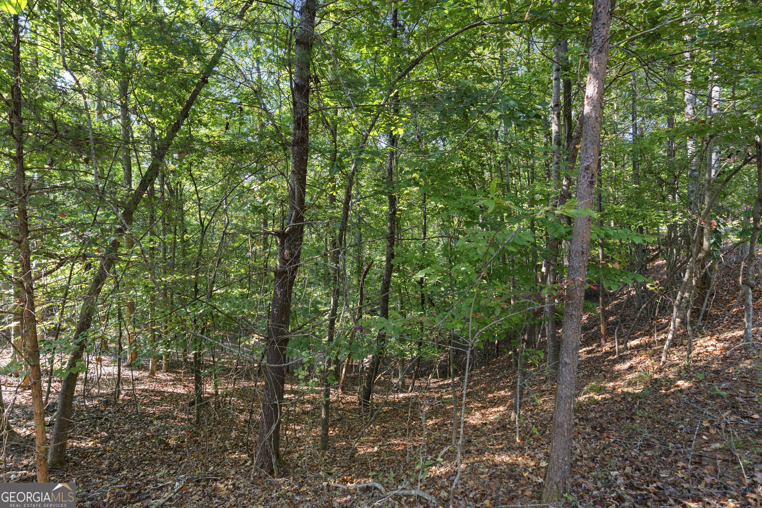 6314 Point Twenty Two Gainesville GA 30506