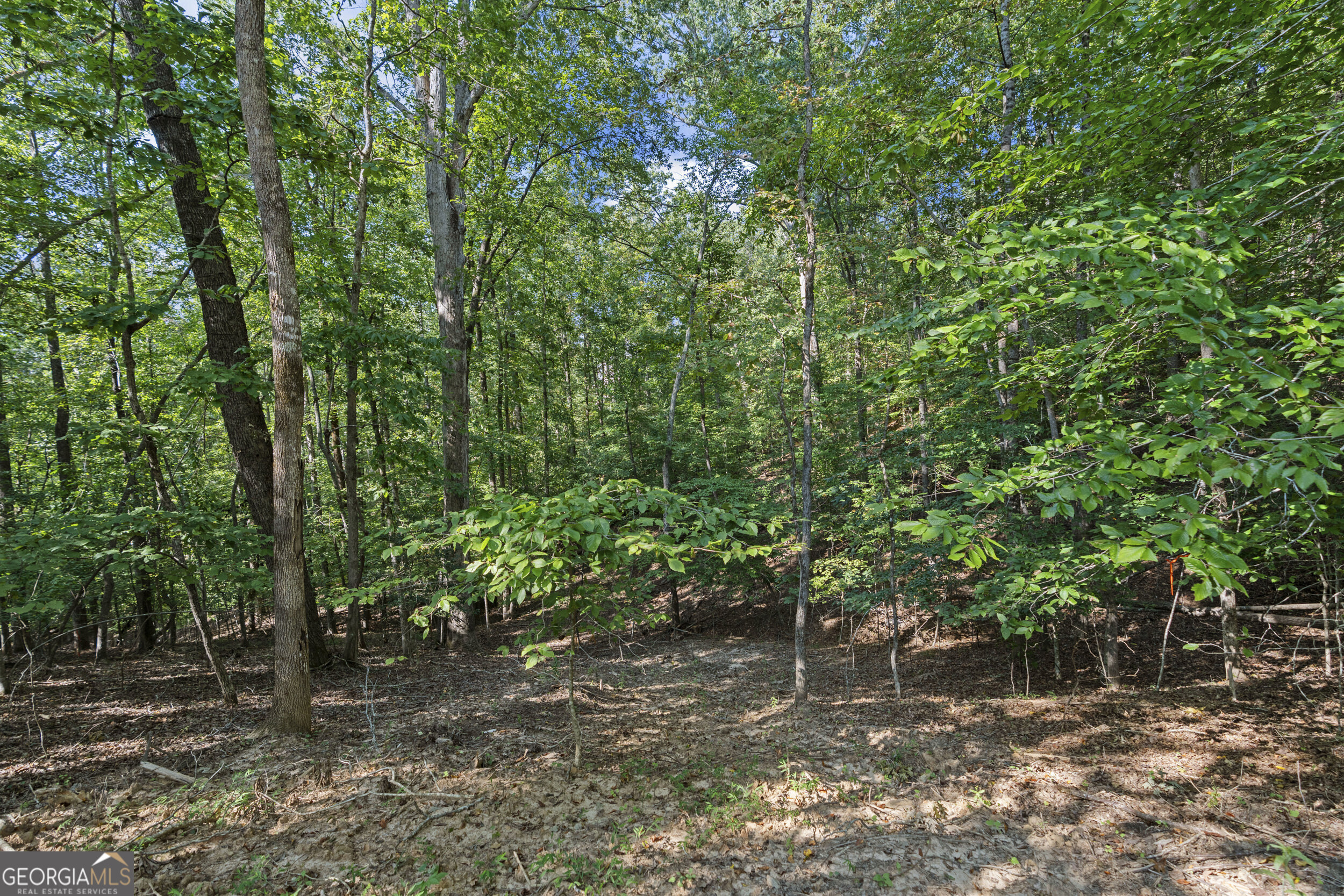 6314 Point Twenty Two Gainesville GA 30506