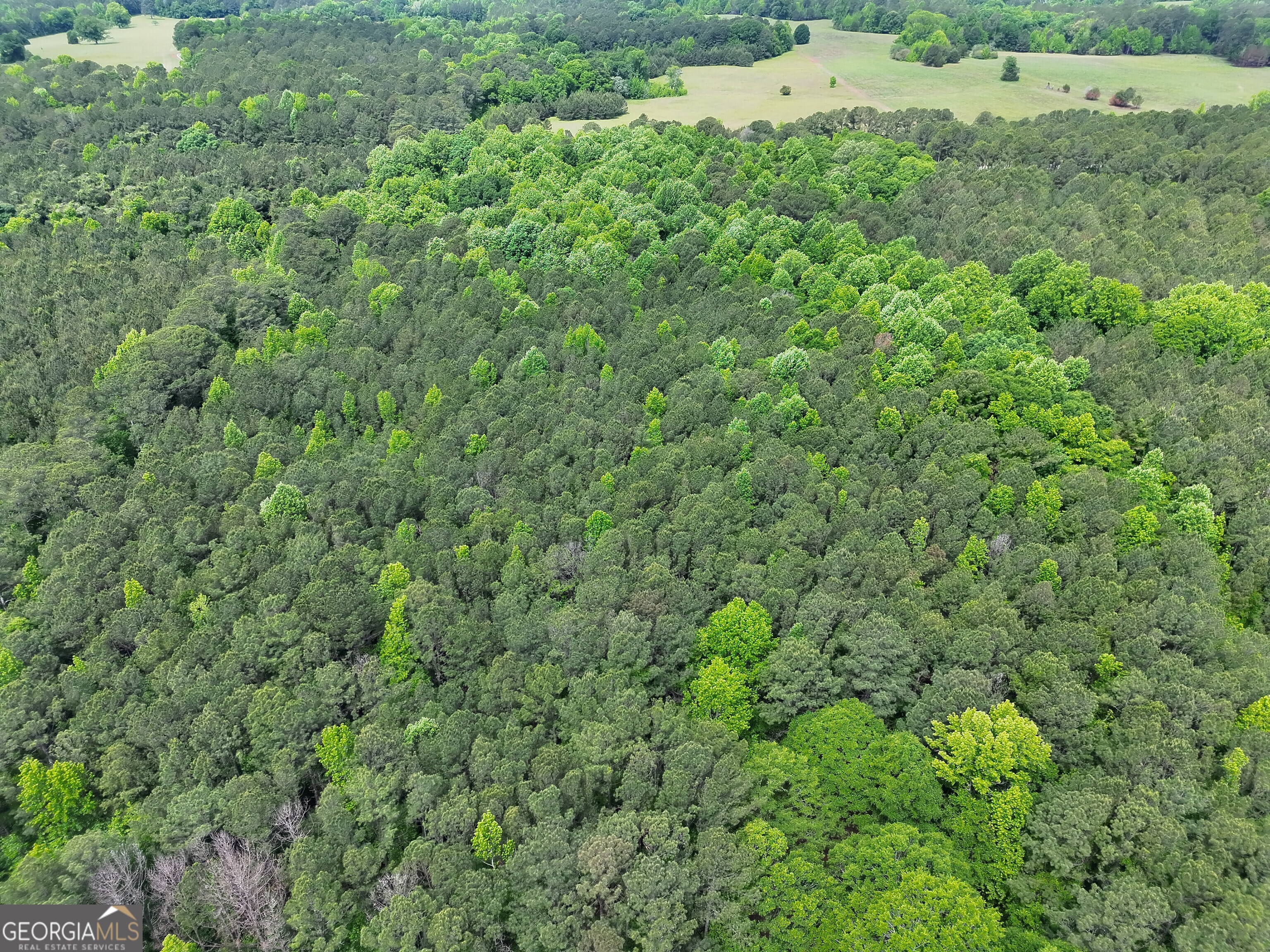 14+ Acres Highway 85 Gay GA 30218