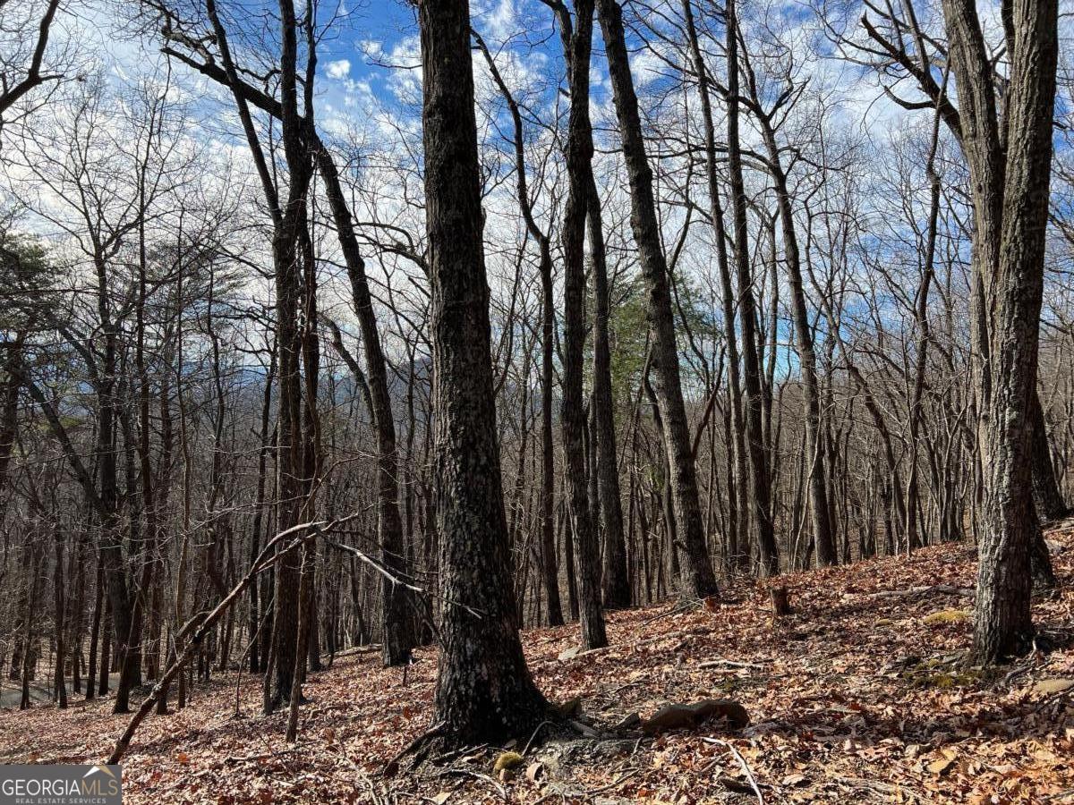 4528 Sassafras Mountain Trail Jasper GA 30143