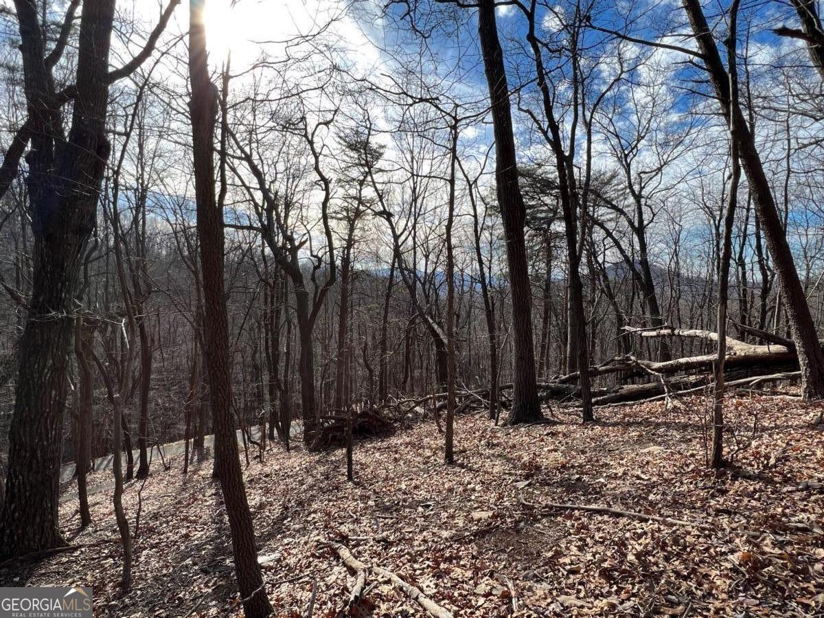 4528 Sassafras Mountain Trail Jasper GA 30143