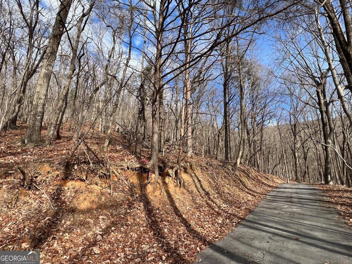 4528 Sassafras Mountain Trail Jasper GA 30143