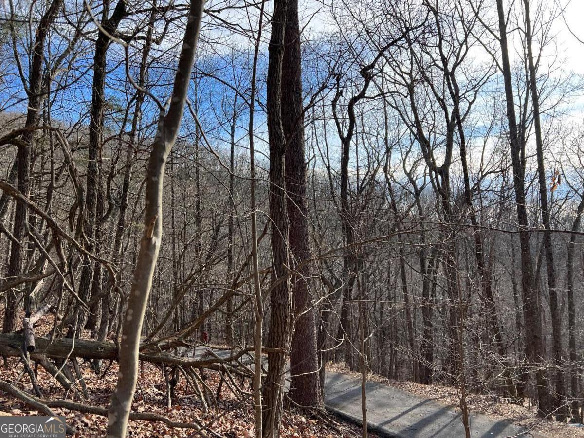 4528 Sassafras Mountain Trail Jasper GA 30143