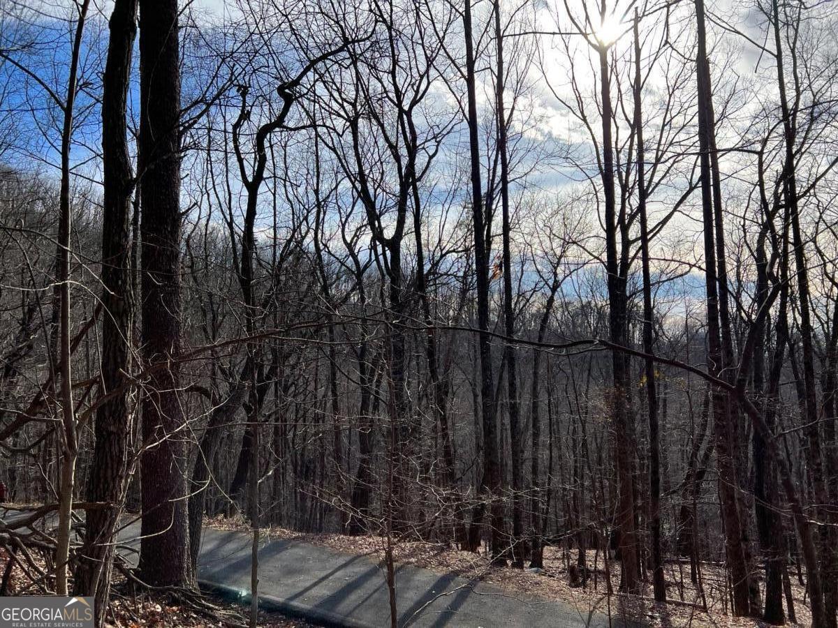 4528 Sassafras Mountain Trail Jasper GA 30143