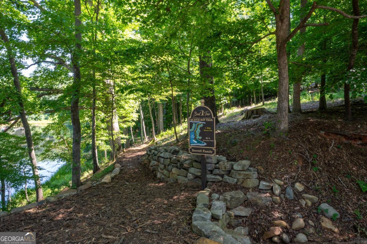 4528 Sassafras Mountain Trail Jasper GA 30143