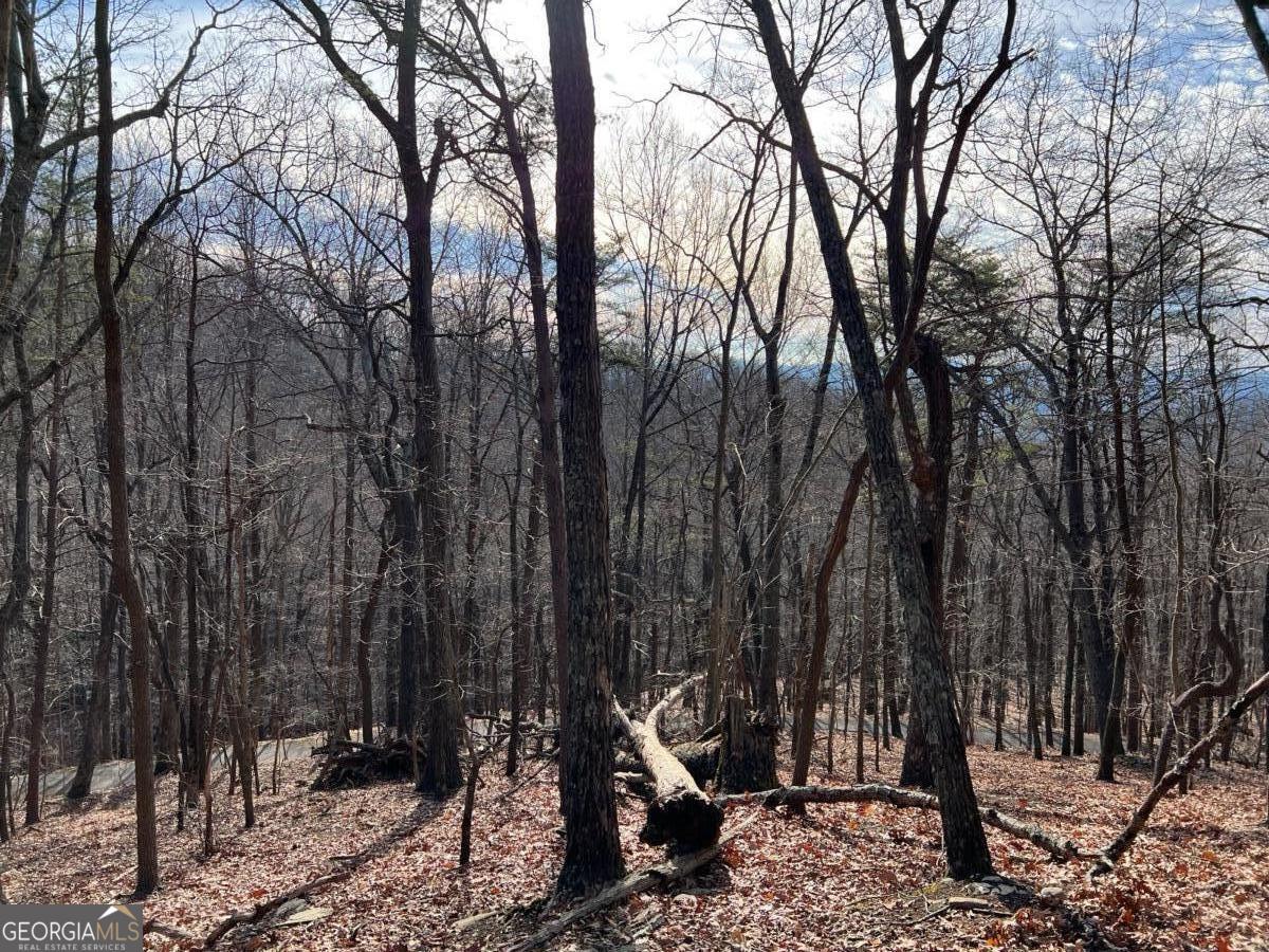 4528 Sassafras Mountain Trail Jasper GA 30143
