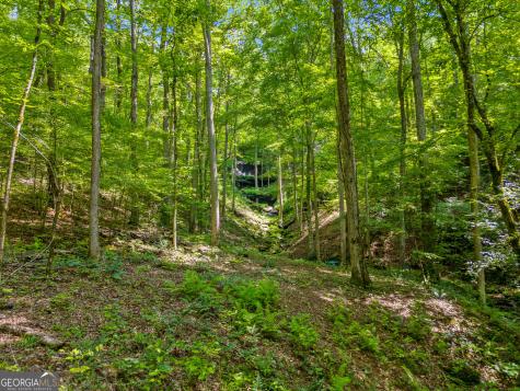 100 Ac Mockingbird Lane Jasper GA 30143