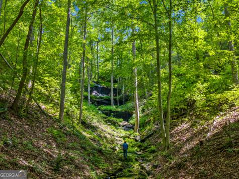 100 Ac Mockingbird Lane Jasper GA 30143