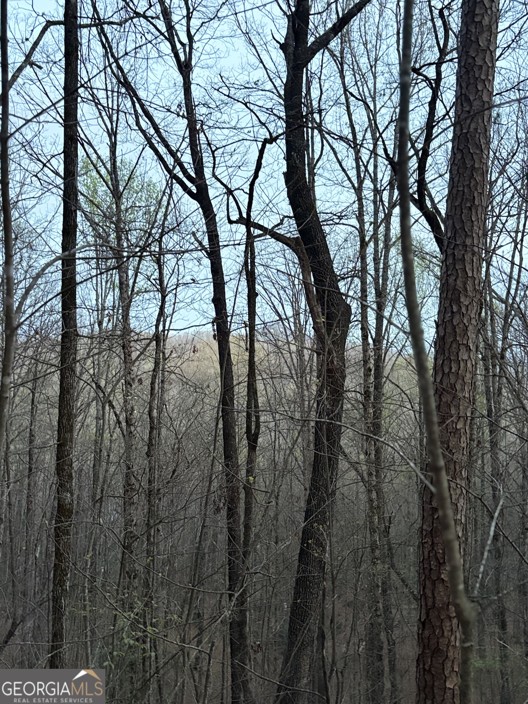 0 Highway 197 Clayton GA 30525