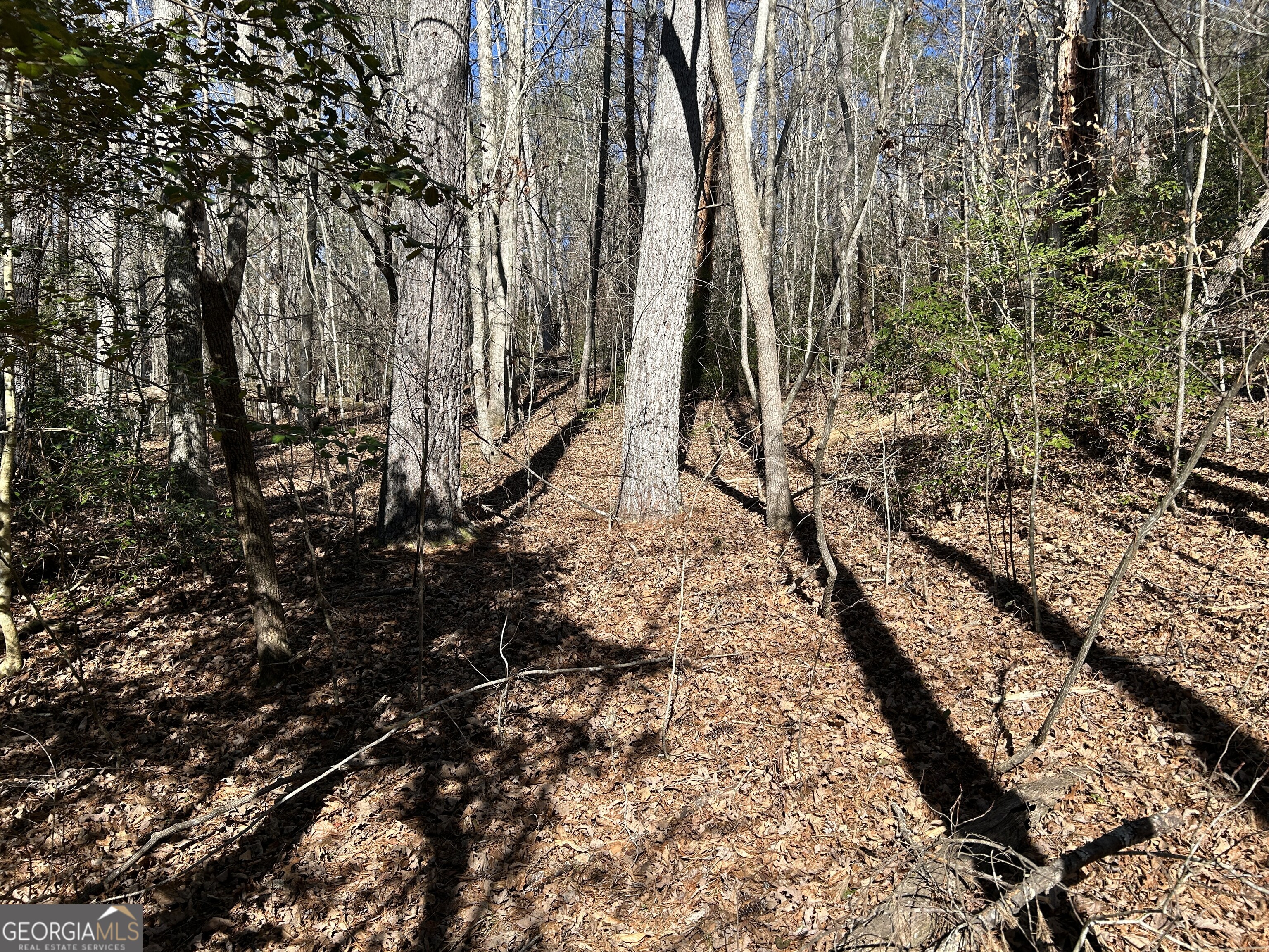 0 Twin River Orchard Road Demorest GA 30535
