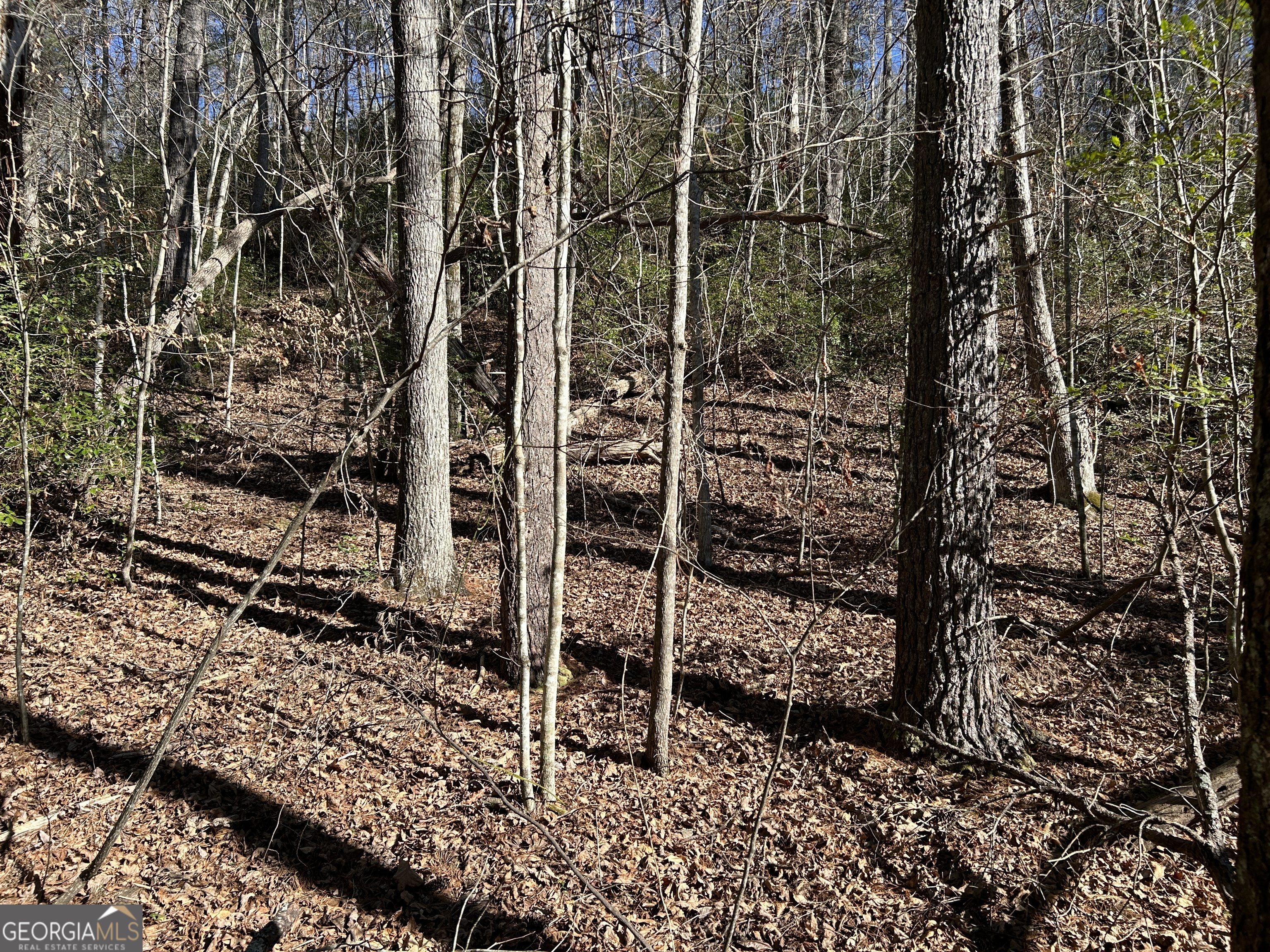 0 Twin River Orchard Road Demorest GA 30535
