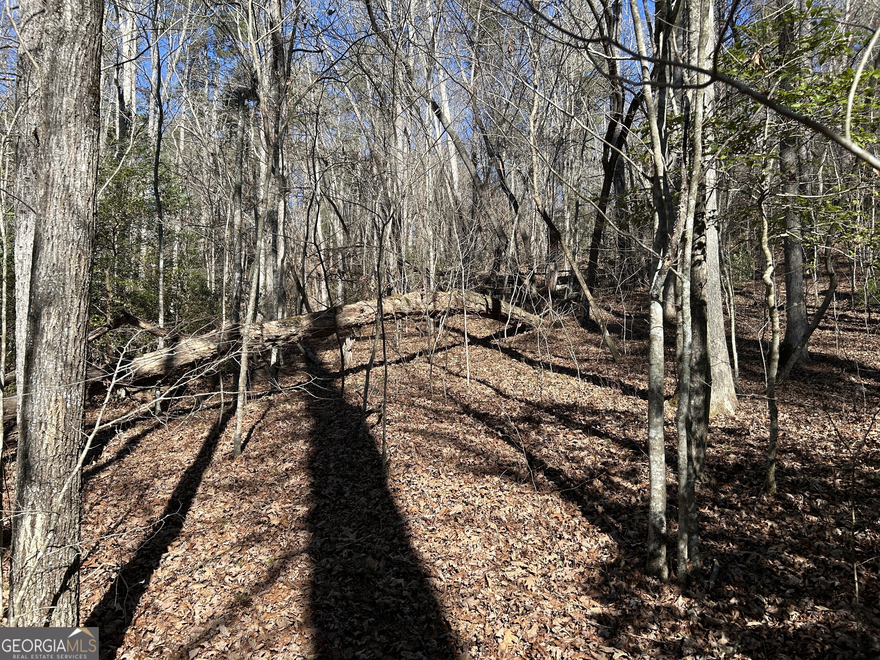 0 Twin River Orchard Road Demorest GA 30535