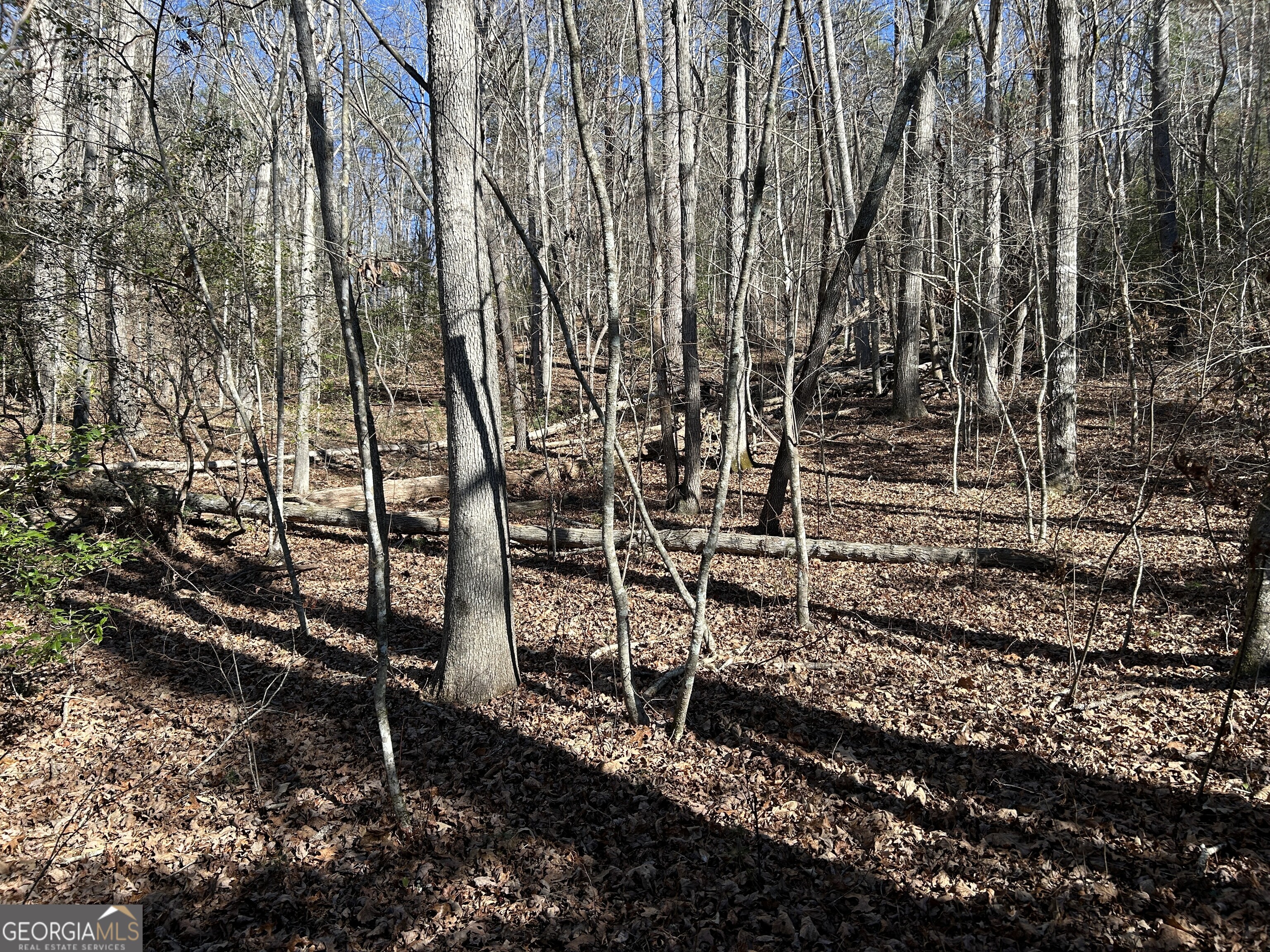 0 Twin River Orchard Road Demorest GA 30535