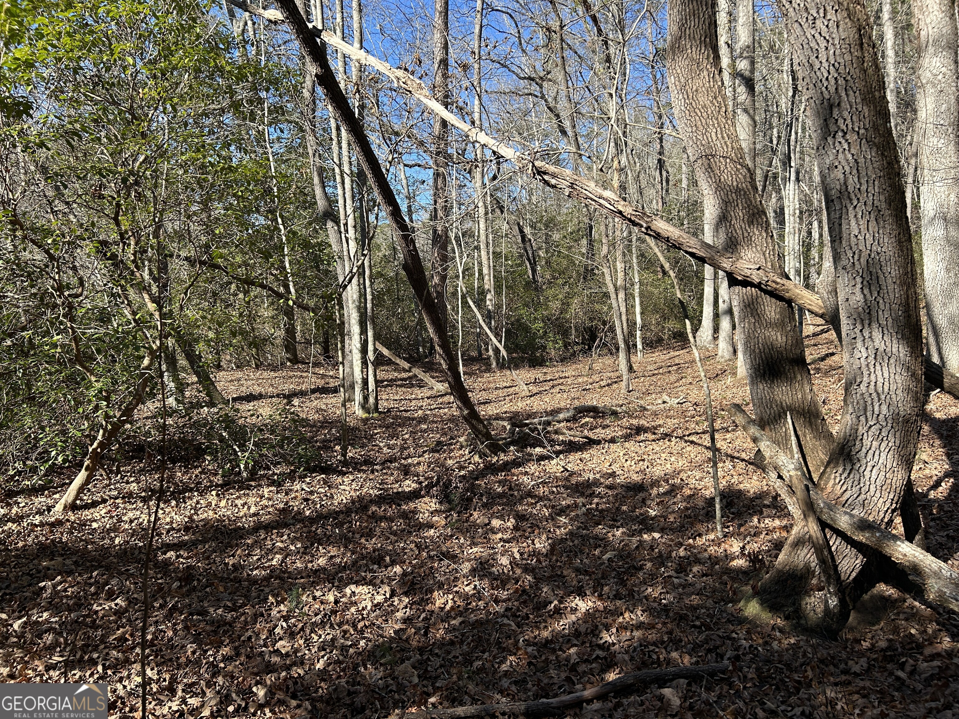 0 Twin River Orchard Road Demorest GA 30535