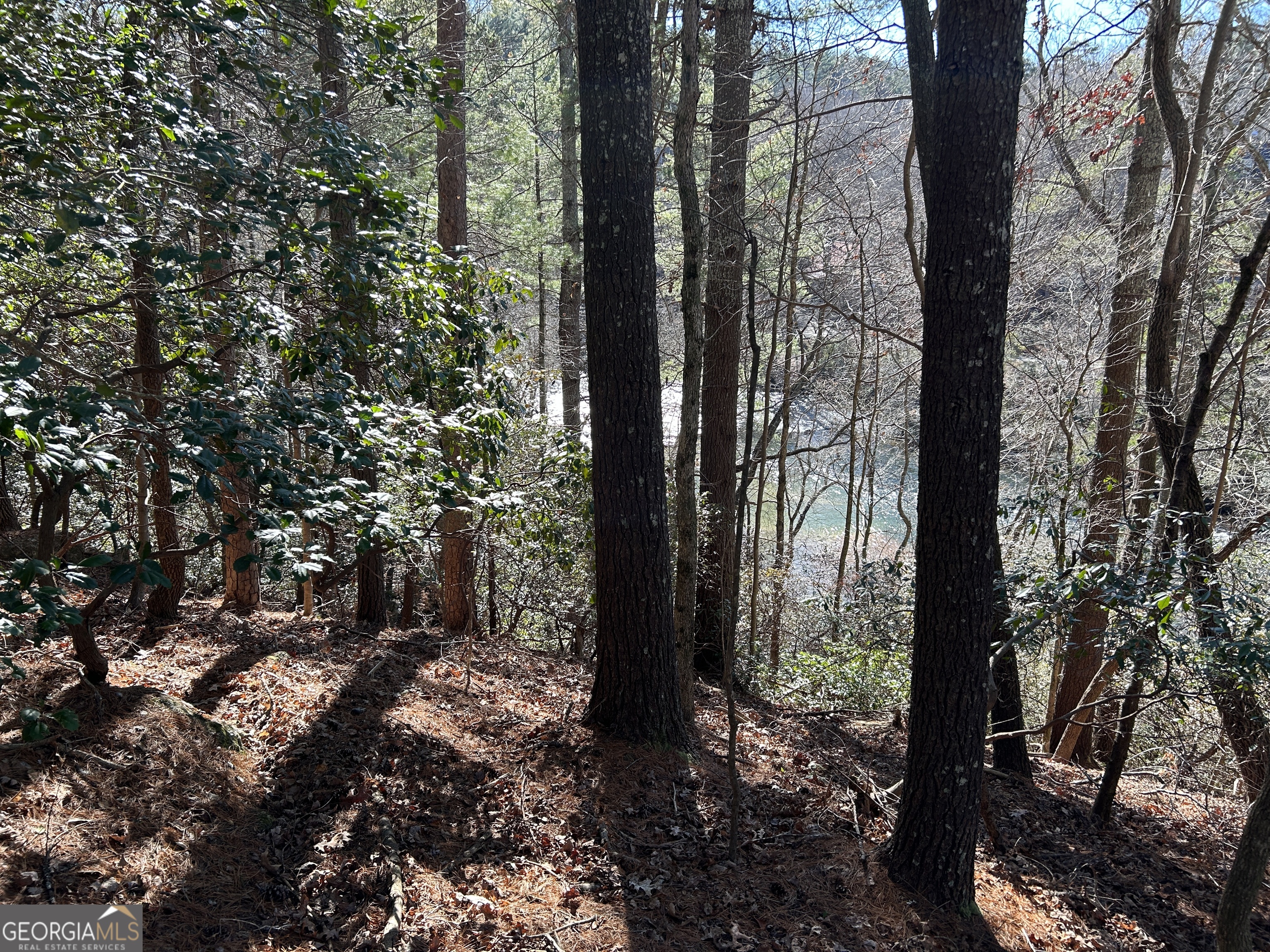 0 Twin River Orchard Road Demorest GA 30535