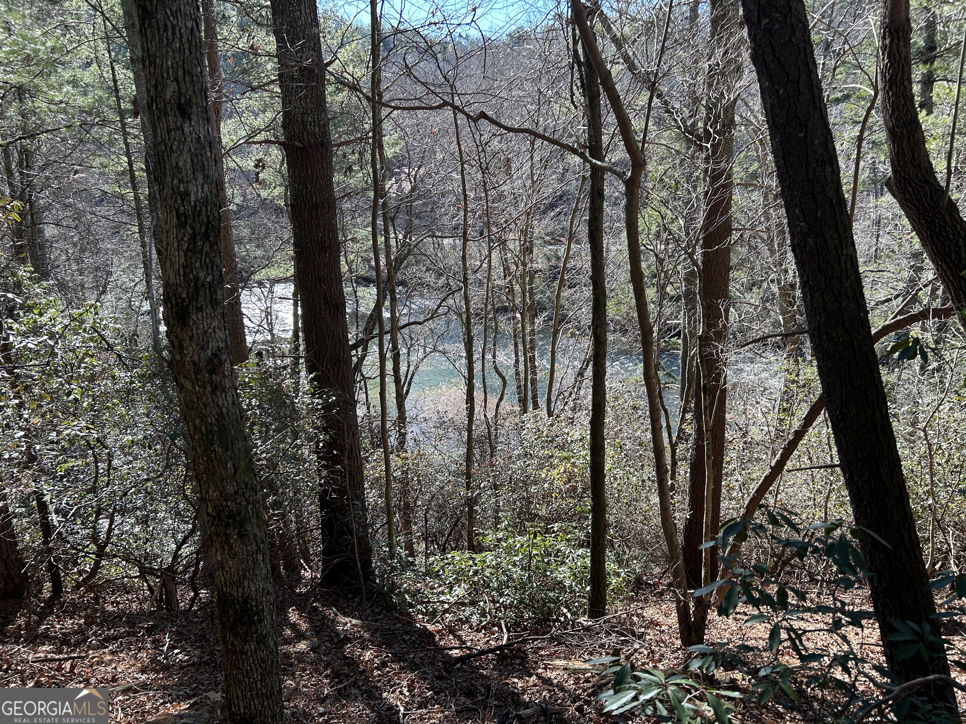 0 Twin River Orchard Road Demorest GA 30535