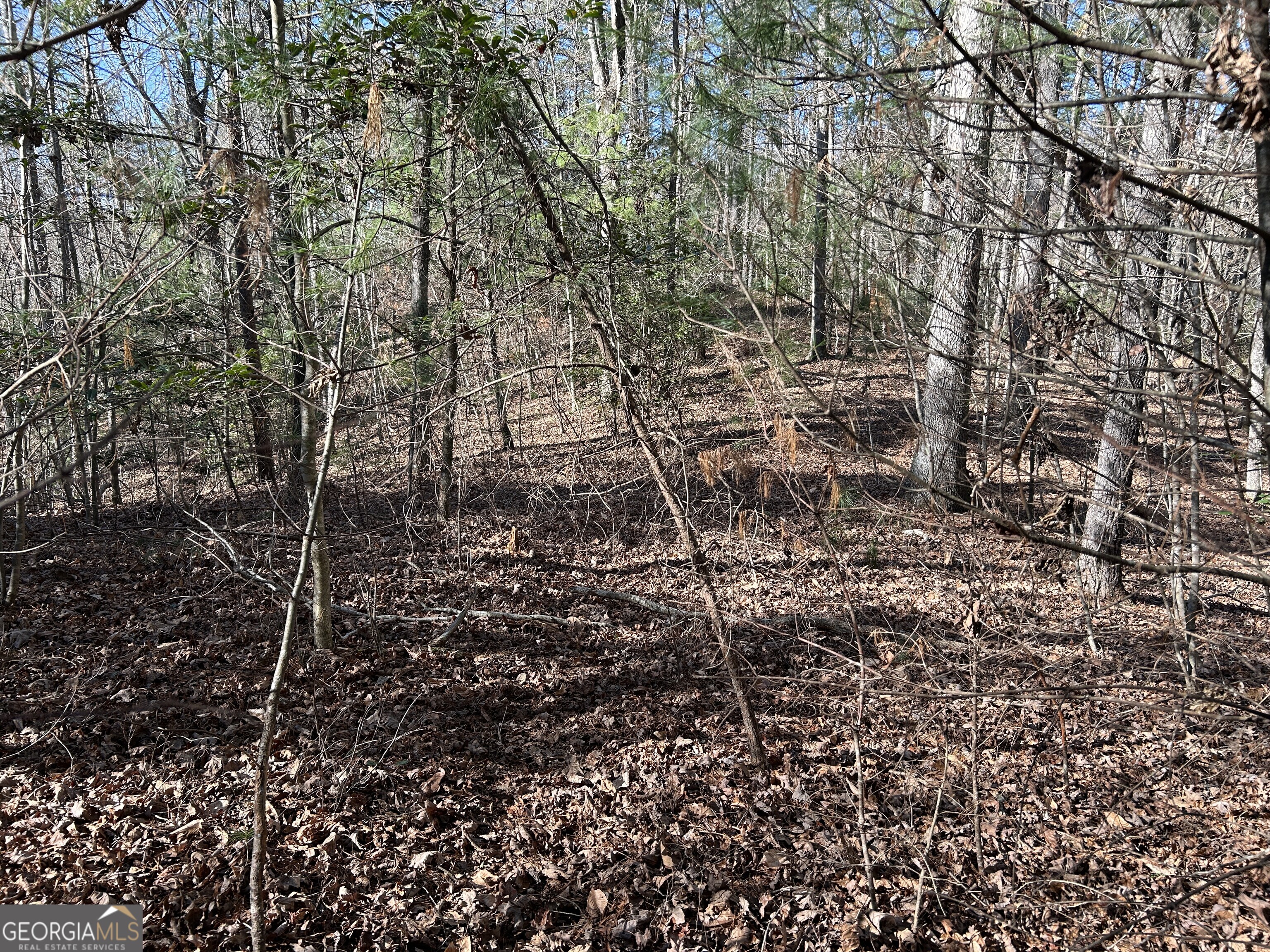 0 Twin River Orchard Road Demorest GA 30535