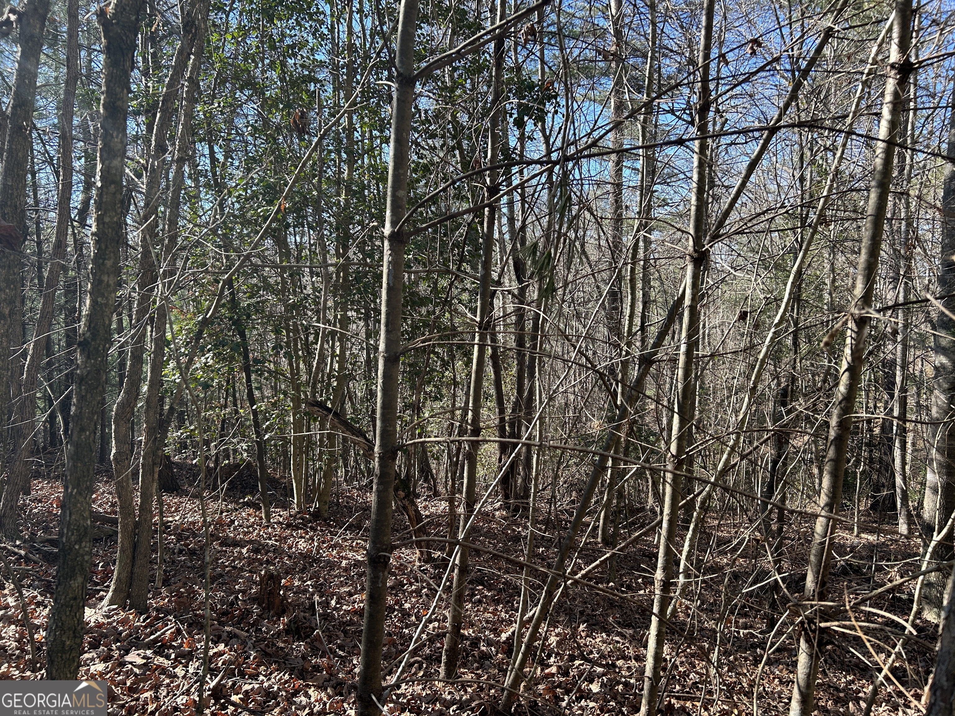 0 Twin River Orchard Road Demorest GA 30535
