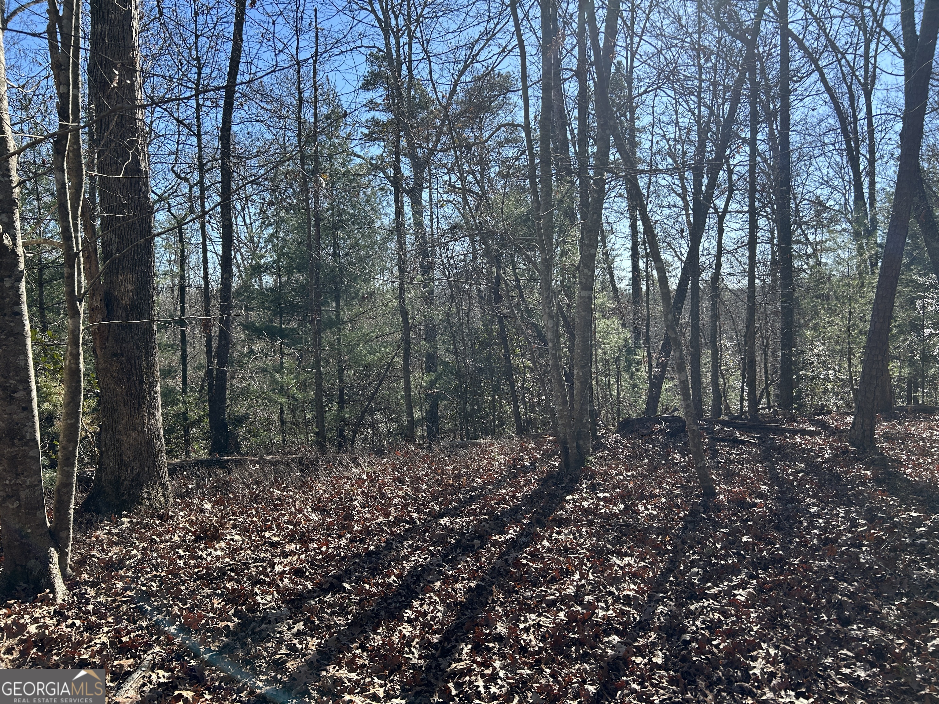 0 Twin River Orchard Road Demorest GA 30535