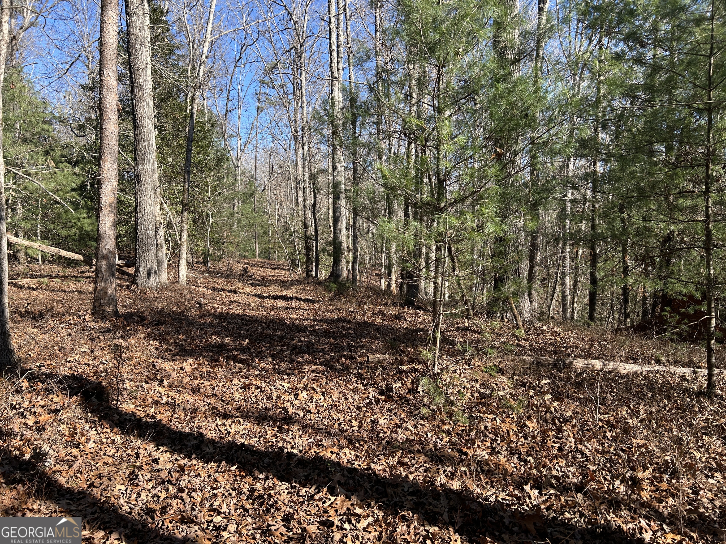0 Twin River Orchard Road Demorest GA 30535