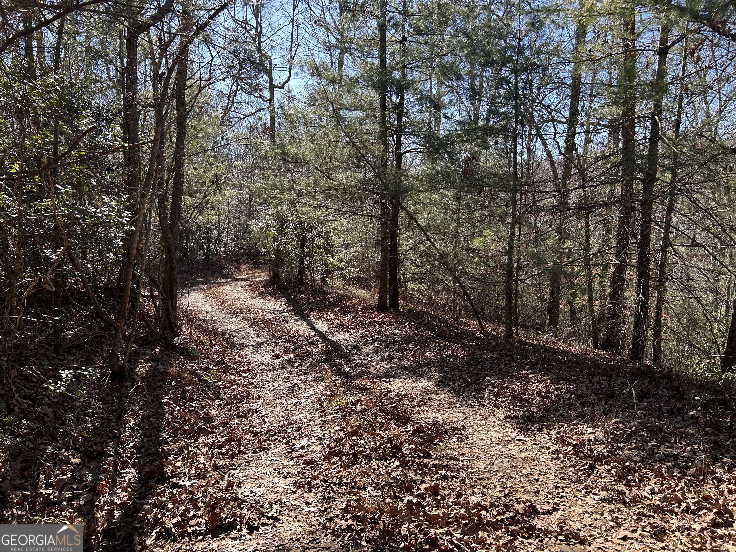 0 Twin River Orchard Road Demorest GA 30535