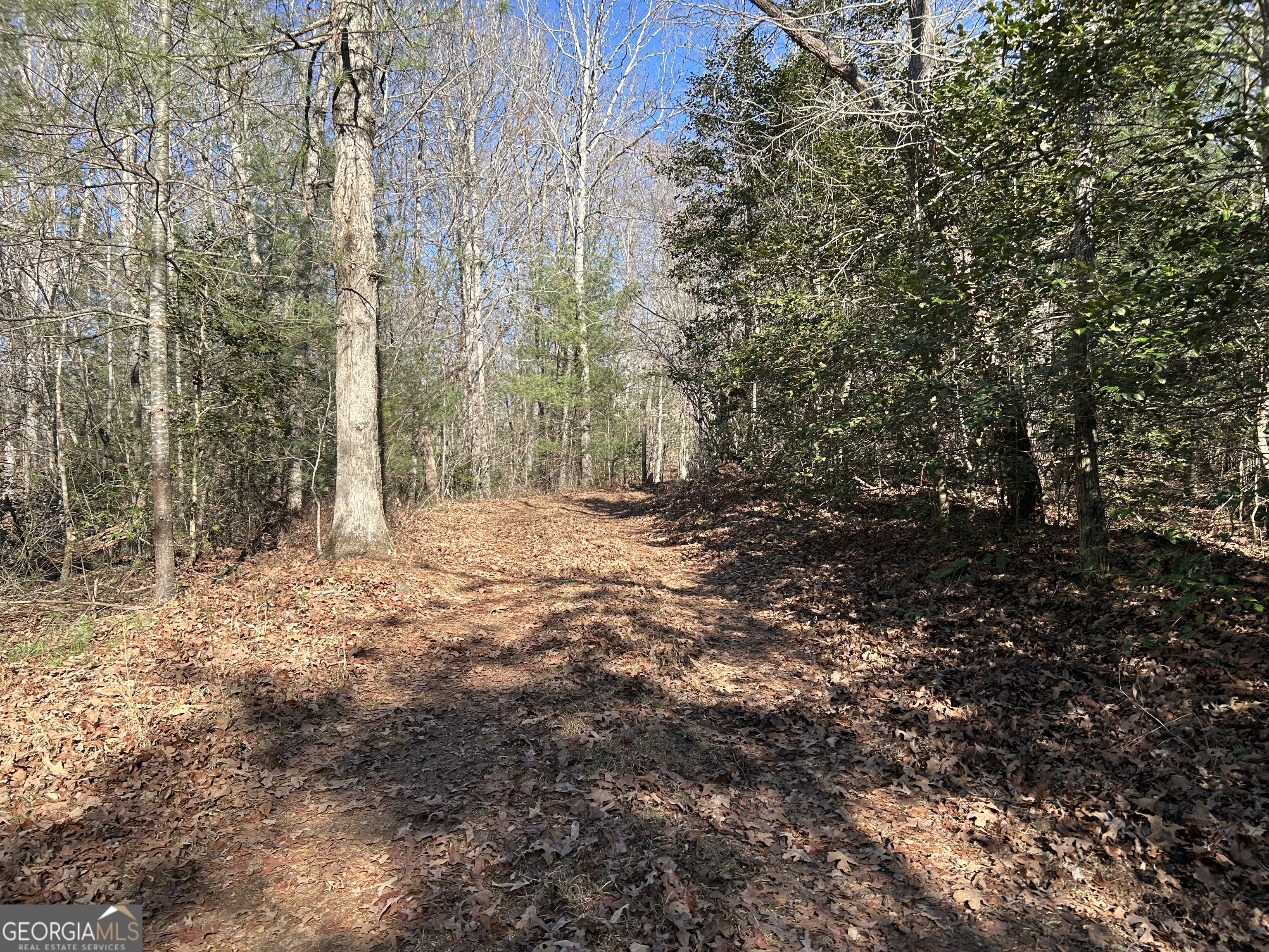 0 Twin River Orchard Road Demorest GA 30535