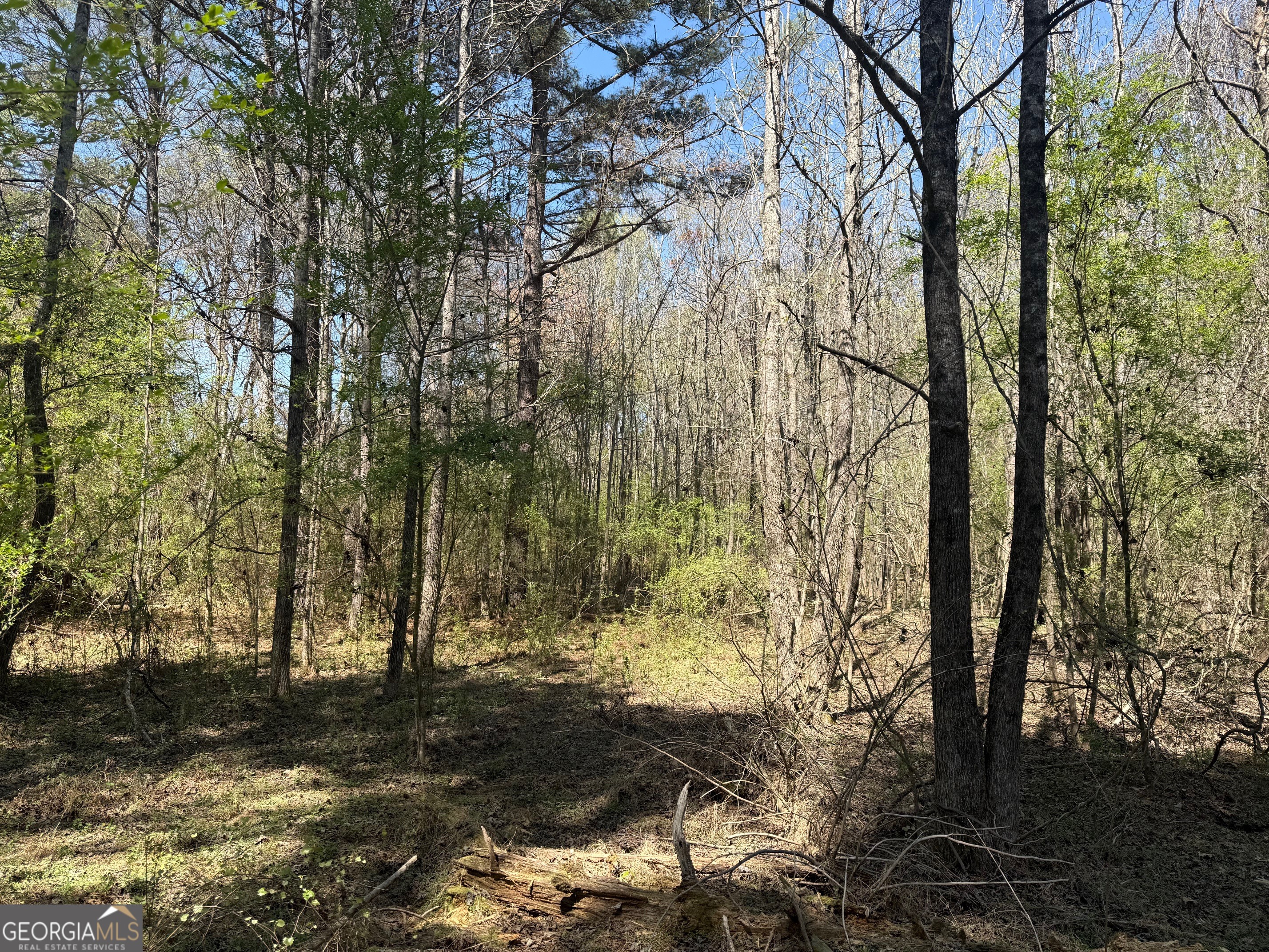 78 Mullinax Road Taylorsville GA 30178