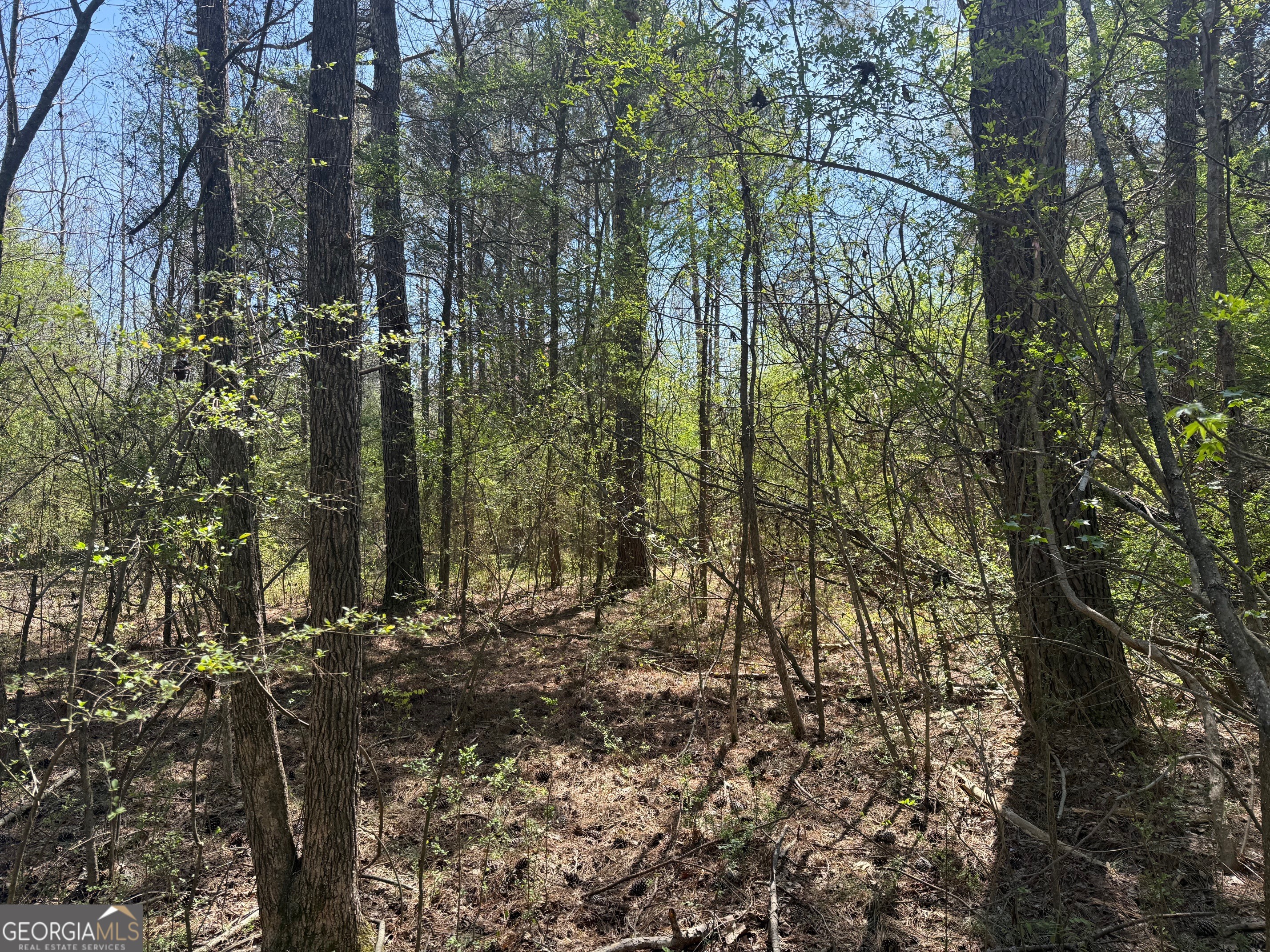 78 Mullinax Road Taylorsville GA 30178
