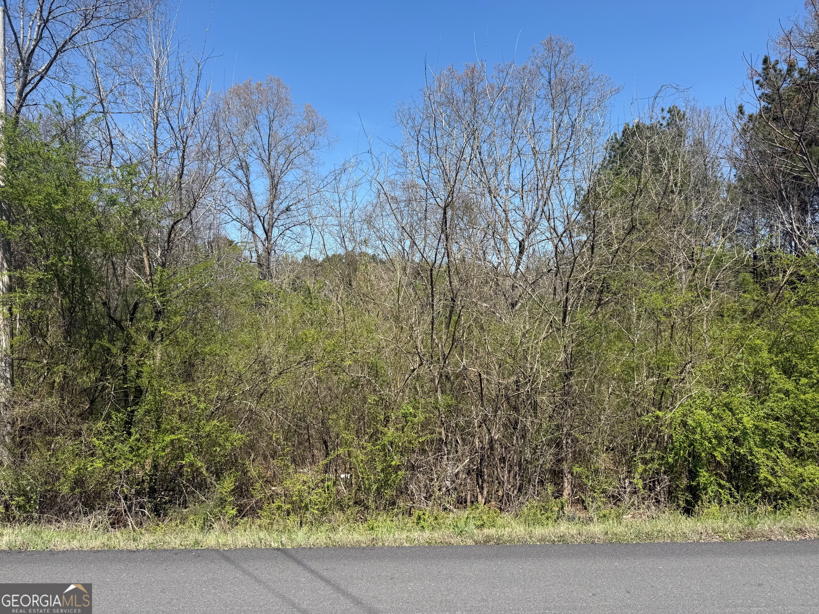 78 Mullinax Road Taylorsville GA 30178