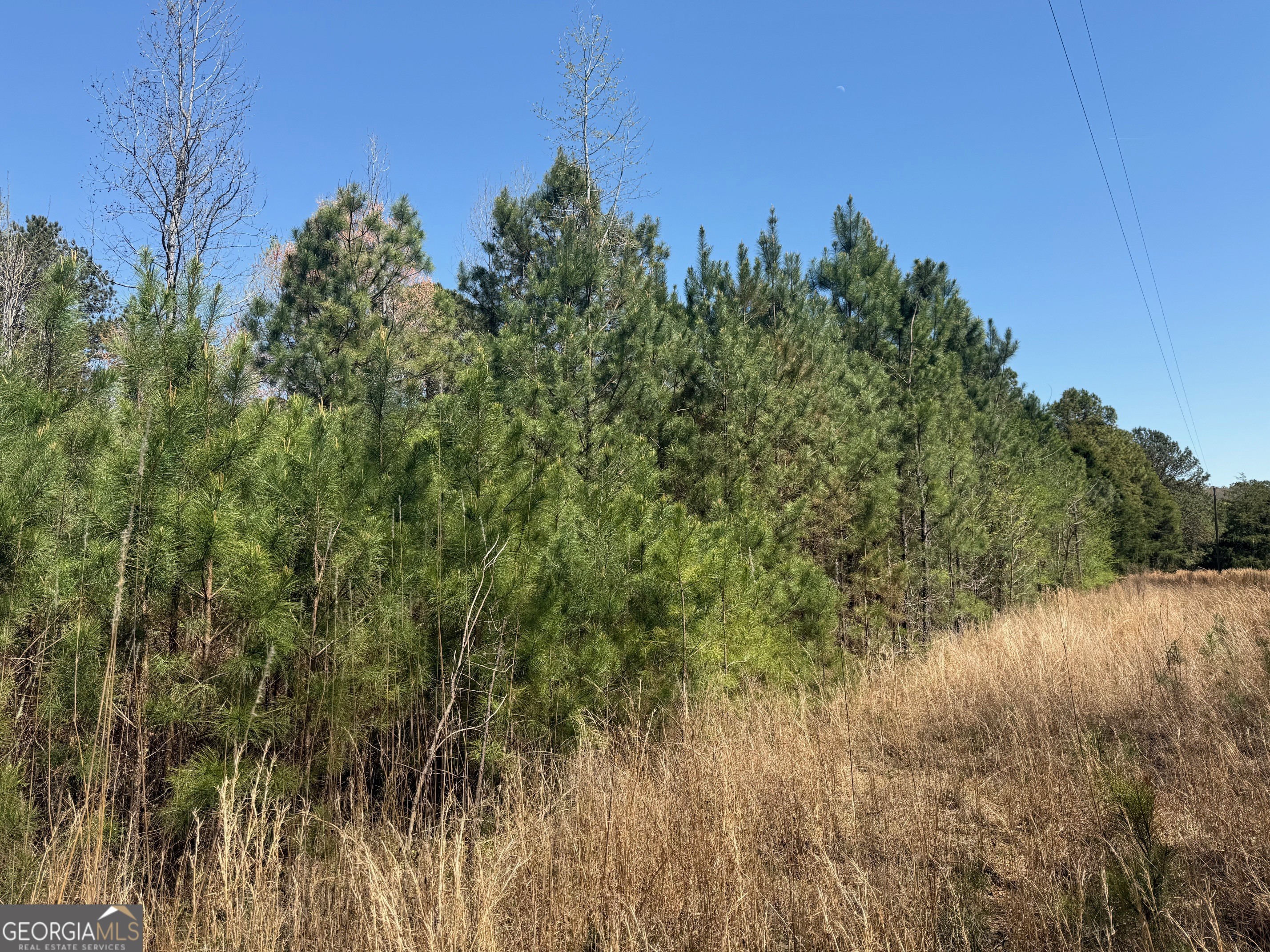 78 Mullinax Road Taylorsville GA 30178