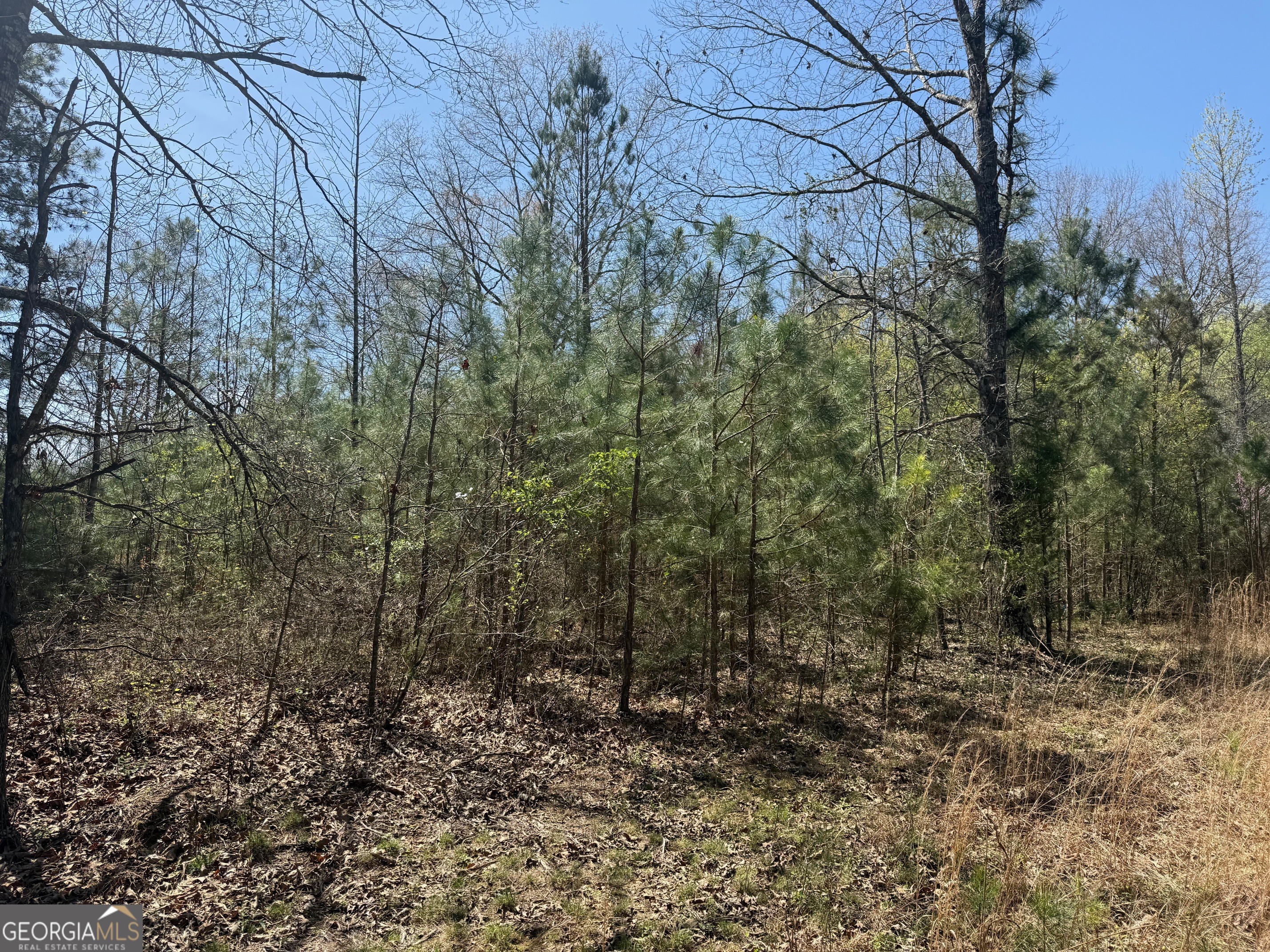 78 Mullinax Road Taylorsville GA 30178